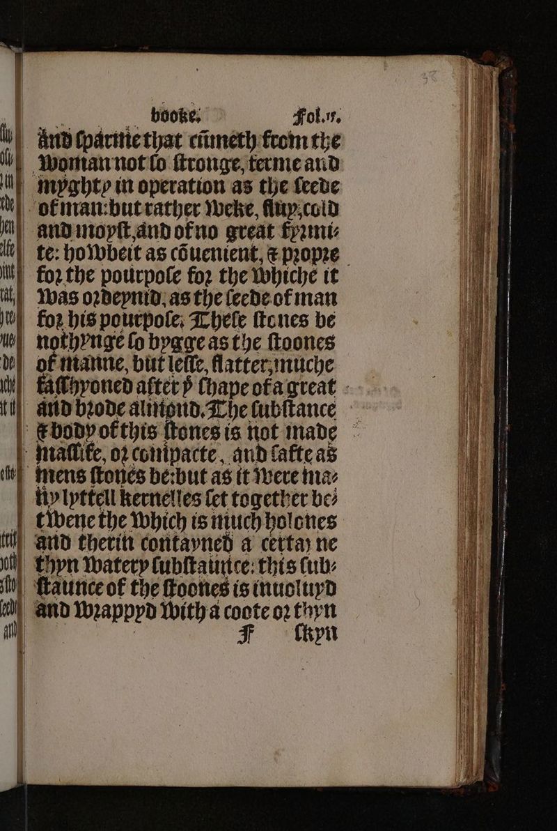 woe Fol. v. And cparnie that cũmeth from the woman not lo ſtronge, terme and mpghto in operation as the ſeede | i | | ofman-butrather weke flup cold ind moyſt and or no great fram: | forthe pourpole foꝛ the whiche it | was oꝛdeynid as the ſeede of man u Foz his pourpole. Thele ſtones be u nothynge fo bygge as the ſtoones dl of manne, but leſle flatter muche mallike, oꝛ compacte, and latte as tity mens ſtones be: but as it were ma⸗ Ry lyttell kernelles fet together be? til) and therin contayned a cettay ne ull) thyn Watery lubſtaunce this lub⸗ shh) ſtaunce of the ſtoones is inuoluyd a and wꝛappyd with a coote oꝛ thyn M : IF lkyn