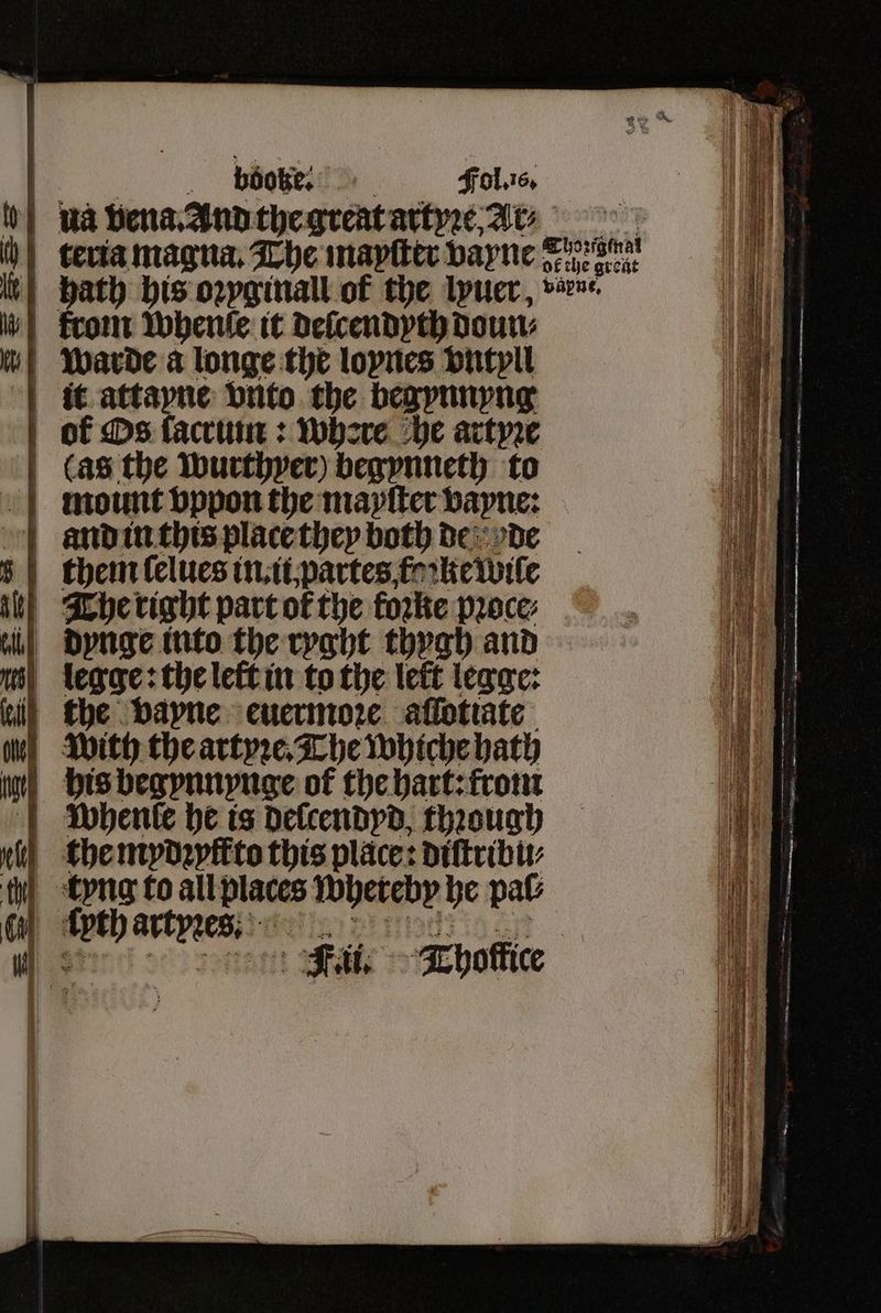 ö _ bboke.: Fol. 16. nẽa vena. And the great artyꝛe, Ar⸗ | teria magna. The mayſter vayne egen hike hath his oꝛyginall of the lyuer, ven log lv) Fconr whenſe it deſcendyth doun⸗ iat warde a longe the lopnes vntyll it attayne vnto the begynnyng of Os lacrum: where he artyze (as the wurthyer) begynneth to mount vppon the mayſter vayne: and in this place they both de de them lelues in ii, partes f ke wile The right part of the foꝛke pꝛoce⸗ ii) dynge into the ryght thygh and n legge: the lettin to the lett legge: ill the vayne euermoꝛe aſſotiate With the artyꝛe. The whiche hath % his begynnynge of the hart: from bwhenle be is delſcendyd, through the mydꝛpffto this place: diſtribu⸗ tyng to all places whereby he pal⸗ . Tati Fitts Thoffice of ee ee ae