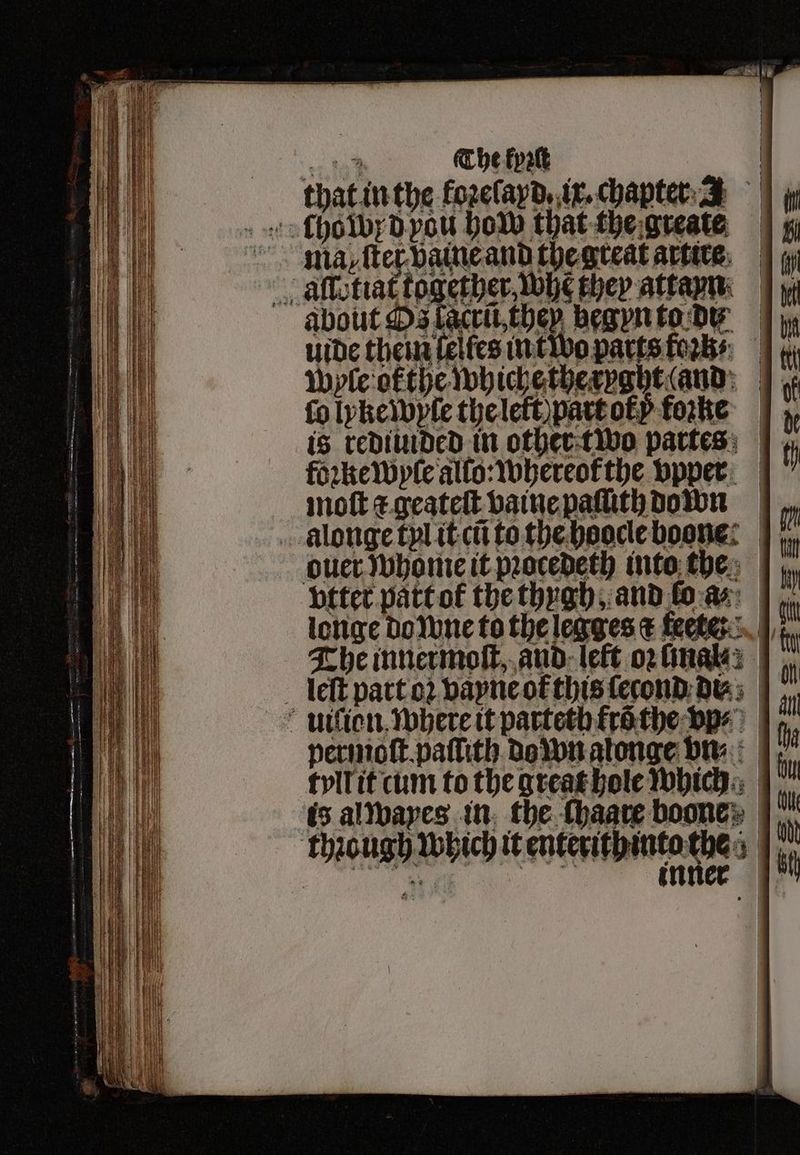 (hob d you how that the greate ma, ſter baine and the great artice allotiat together, Me Ebep attayn about s facrũ, they begyn to de uide theim lelſes in two parts kr: | wyſe ok the whichethernaht (and fo Ipheibple the let part ol b fore is rediuided in other two partes foꝛke wyſe allo: whereol the vpper moſt e geateſt vaine paſuth down alonge tyl it cũ to the hoocle boone: © ouer ſvhome it pꝛocedeth into the vtter patt ot thethygh, and ſo a⸗ longe do wne to the legges ex fete: The innermoſt, and left oꝛ mate: leſt part oꝛ vayne ot this ſecond de? uiſion where it parteth krõ the ps) | permoſt paſlith do wn atonge vn: is al wayes in the chaate boone» though which it enterithinto te e 1 inner