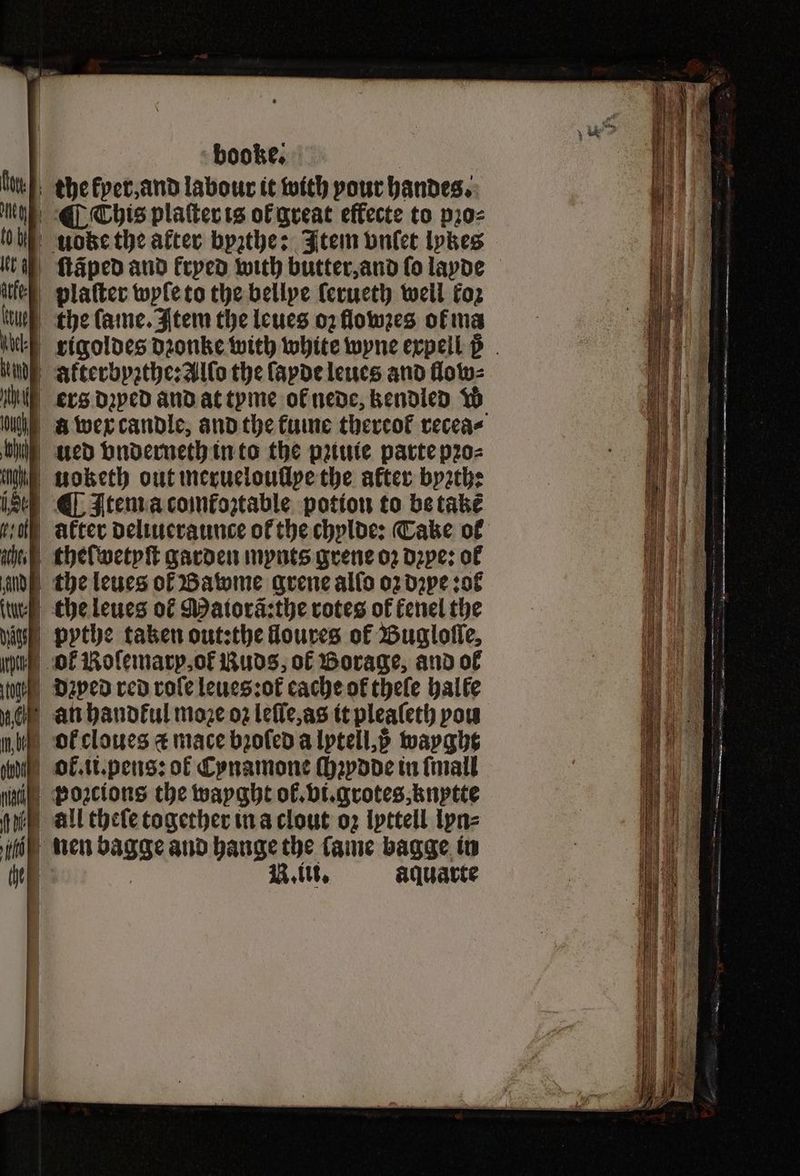 the kper, and labour it with pour handes. ( Chis plaſter is of great effecte to pꝛo⸗ uode the after bpathe: Item vulet lpkes ſtãped and kryed with butter, and ſo layde plaſter wyſe to the bellpe ſerueth well koz the ſame. Item the leues oz flowzes of ma rigoldes dꝛonke with white wyne expell ß akterbyꝛthe:Alſo the ſayde leues and flow⸗ ers dꝛped and at tyme ol nede, kendled w | wex candle, and the fuine thereof recea⸗ i ued vnderneth in to the pꝛiuie parte pꝛo⸗ h moketh out merueloullpe the after byzth: e Item a comfoztable potion to be take after deliueraunce of the chylde: Take of thelwetyſt garden mynts grene oz d2pe: of the leues of Bawme grene alſo o2dape sof the leues of Matorã:the rotes of fenel the iu pythe taken outsthe foures of Buglolle, ol KRoſemarp, oł Ruds, of Borage, and of dꝛped red role leues:ot᷑ cache of thele halle an handkul moze oz leſſe, as it pleaſeth vou bol cloues ⁊ mace bꝛoſed a lytell, 5 wayght ok .ii.pens: of Cynamone ſhꝛydde in ſmall Fboꝛcions the wayght of. vi.grotes, knytte all theſe together in a clout oz lyttell lyn⸗ i nen bagge and hange the lame bagge in
