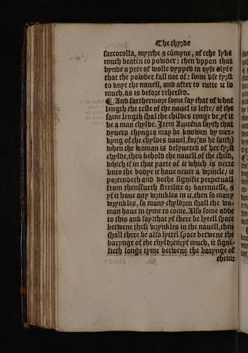 farcocolla, myꝛrhe a cũmpne, of eche Iphe | much beaten to powder: then vppon that bynde a pete ot wolle dypped in oyle olyrfe ¢; that the powder fall not ol: ſoine bie fyzſt iy to knyt the nauell, and alter to cutte it lo much, as is betoze reherſfed. | | nl @ And farthermoze ſome fay that ofthat | length the reſte of the nauel is lefte/ of the | lame length thal the childes tonge be, pe it | 149 be à man chylde. Item Auicẽna layth that zn dyuers thynges may be knowen by mer⸗ in kyng of the chyldes nauel oz as he ſaith) jy when the woman is Delpucred of her tyre tg chylde, then behold the nauell of the child, ( which ik in that parte ol it which is nerte i vnto the bodye it haue neuer a wzincle / it | jy poztendeth and dothe ſignilte perpetuall f from thenſkurth ſterilite or barenneſſe, c ch yl it haue any wꝛinkles in it, then ſo man wzpnkles, fo many chyldzen ſhall the wos | jy, man haue in tyme to come. Allo ſome adde to this and ſayꝛthat pf there be lytell pace g betwene theſe wꝛynkles in the nauell, chen f (hall there be allo lyttel ſpace betwene the barynge of the chyldzen: yk much, it ſigni⸗ N fieth longe tpine betwene the baronet 1 >
