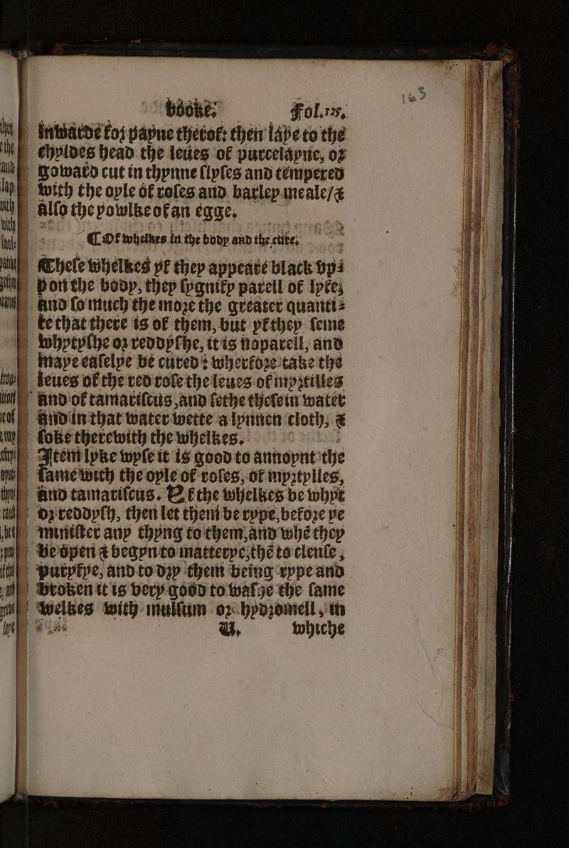 chyldes head the leues of purcelayne, oꝛ Zo ward cut in thynne ſlyſes and tempered allo the powlke ok an egge. 6 ~ CHE whemes in the body and the cute. CThele whelbes yl they appeart black vp⸗ pon the body, they ſygniky parell ot lytez And ſo much the moze the greater quanti⸗ ke that there is of them, but pkthey leine bwhptylhe oz reddyſhe, it is noparell, and fh . —— — = == — —— => leues ol the ved role the leues of inpitilles And ok tamariſcus, and ſethe thelein water And in that water wette a lynnen cloth, & loke therewith the whelkes. 1 Item lyke wyſe it is good to annoynt the lame wich the oyle of roles, ot myztylles, And tamariſcus. Et the wheltzes be whyt dz reddylh, then let them be rype, betoꝛe ye miniſter any thyng to them and whe they puryfye, and to dzy chem being rype and bProten it is very good to waſge the fame welkes with mulſum oz hodzomell, in eae : V. whiche