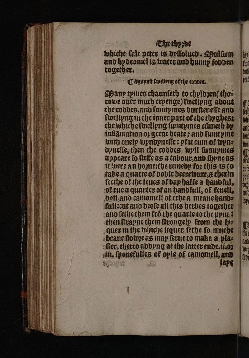 uhiche falt peter is dyſſolued. Mulſum soon C Igapnſt cwellyng ok the coddes. with onely wyndyneſſe: yk it cum ol wyn⸗ ſeethe of the leues of bay halle a handful, and ſethe them krõ the quarte to the pynt: ave