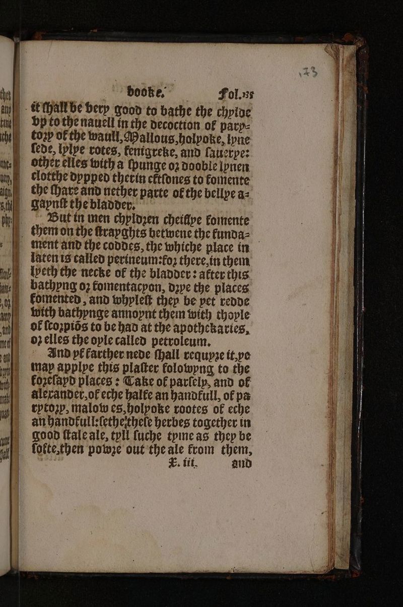 booke. Faͤ0̃ol. ut vp to the nauell in the decoctton of parp⸗ corp of the waull, Mallous, holyoke, tyne clotthe dypped therin eltſdnes to komente the ſhare and nether parte ol the bellye a⸗ gaynſt the bladder. But in men chyldꝛen cheiflve komente laten is called perineum:foꝛ there, in them iveth the necke of the bladder: after this bathyng oz komentacyon, dꝛye the places oz elles the oyle called petroleum. And pl farther nede ſhall requyꝛe it, ye kozeſapd places: Cake of parſely, and of alexander, ot eche halle an handkull, of pa an handkull:ſethetthele herbes together in good ſtale ale, tyll ſuche tyme as they be lolte, then powze out e ae E. tt. an