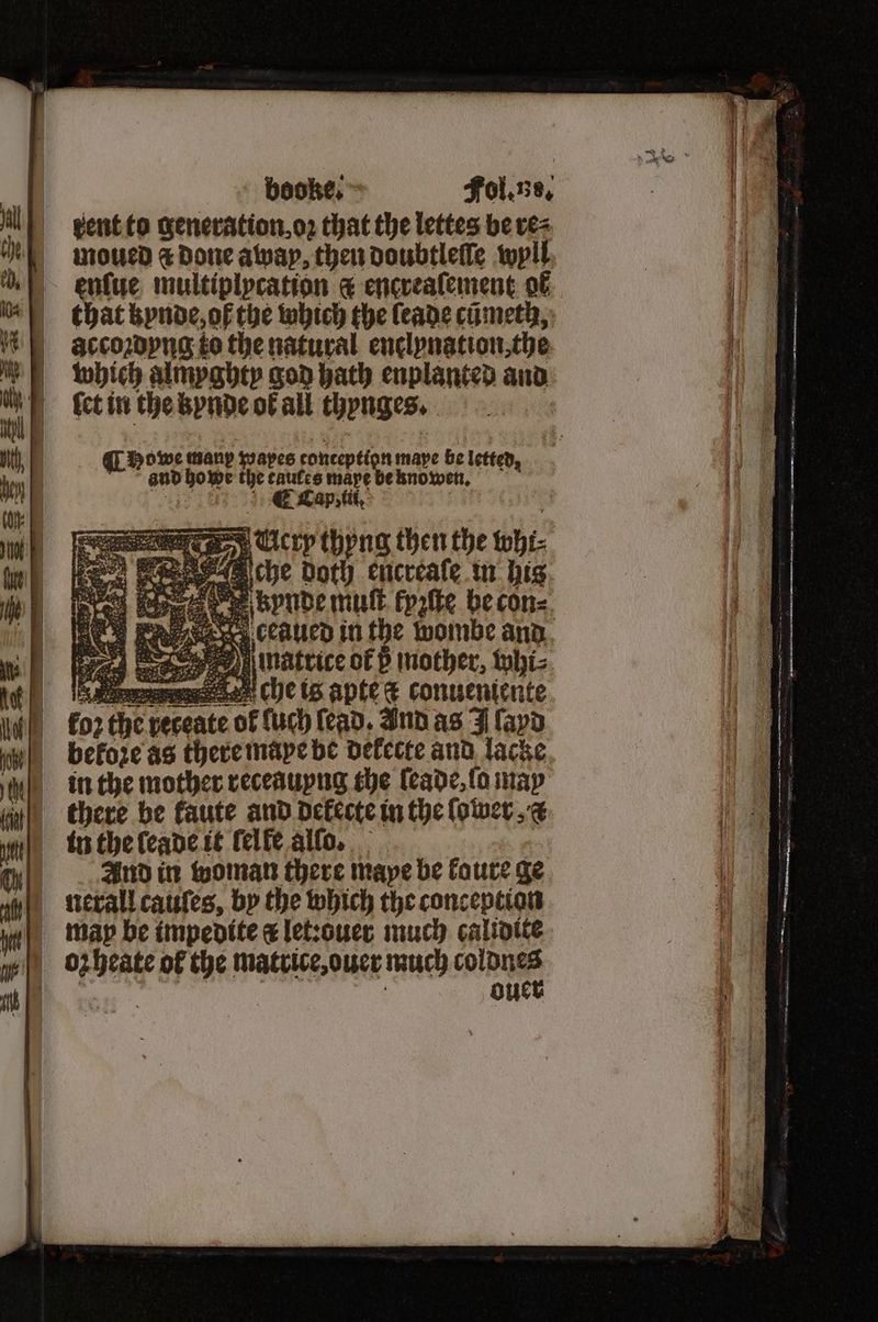 booke. Fol. ns. vent to generation, oꝛ that the lettes be vez moued & done away, then doubtleſſe wyll enſue multiplycation & encreaſement ok that kynde, of the which the ſeade cometh, accoꝛdyng to the natural enelyngtion, the which almyghty god hath enplanted and let in the kynde ol all thynges. Ag owe many Wapes conception mape be letted T and howe the eaules maye be nnowen. 2 8 C Lap, tii. „ Uecry thyng then the whi⸗ che doth encreaſe in hig vuunde muſt kyzſte be con⸗ eeeeeaued in the wombe and 5 sy matrice OF p mother. whi⸗ g cheis apte + conuentente Ftkoꝛ the receate of uch ſead. Ind as J ſayd before as there maye be dekecte and lache in the mother receauyng the ſeade, ſo may there be kaute and dekecte in the ſo wer, And in woman there maye be laute ge nerall cauſes, by the which the conception wil oxbeate of the mattice, ouer much coldnes ih, eee -. N ouer
