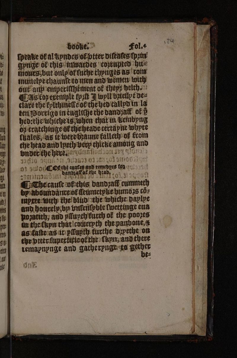 1 bodke . Fol.. ſpease ok al byndes ol iter diſeules ſpun gynge oF this inwardes coztupted hu⸗ mours : but only ot ſuche thynges as com munelpe chaunſeto men and wemen with dut aup emperiſſhement of theyꝛ helth. ¶ As tor exemple fpit 3 wyll betellye de⸗ clave the kylthineſte ol the bed callyd in la ten Porrigo in engliche the dandzack ol 5 hed:the whiche is when that in kembyng OF tratchinge or the heade certayne whyte lüales, as it were bzanne kalleth of from che head and lpeth very thicke among and * dandꝛaff ot the head.. che cauſe oPehis dandraff cummeth by aboundante os fleumetyke humos 607 moxte with the! blud the whiche Daplye and hourely by vnlenſpble ſwettinge cus pozatith; and pſlupth kurth of the poozes in the ſkyn that coueryth the panbone, as taſte as it pſſunth kurthe dzwethe on the vtter ſuperkitie ol the lkyn and there temapnynge and gatherpnge ta Neef
