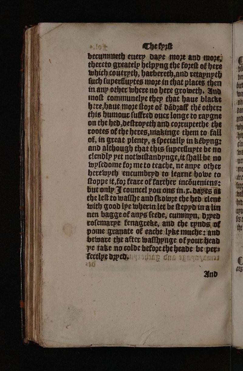 — ere, age 77 ——— | Che tyrt becunnneth euery Dave moze and more; thereto greatelp helpyng the forekt ef here which coueryth, harbereth, and retaynyth ſuch luperlluytes moꝛe in that plates then in any other where no here groweth. And moſt communelpe they that haue blacke here, haue moze ſtoze of dãdꝛaft thé other: this humour {uffred ouer longe to raygne on the hed. deſtropeth and coꝛruptethe the rootes of the heres, makinge them to fall of, th great plenty, c ſpecially in kẽbyng: and although that this ſuperfluyte be no clendly pet notwiſtandynge, it ſhall be no wyſedome fo2 me to teache, ne anye other herewyth encumbryd to learne howe to ſtoppe it, foꝛ keare of farther incõueniens: but only I councel you ons in.x.dapes at the leſt to waſſhe and ſkowꝛe the hed clene with good lye wherin let be ſtepyd in a lin roſemarye fenagreke, and the rynds of pome granate of eache lyke muche: and beware the after waſſhynge ot pour head pe take no colde beloze the heade be per⸗ kectlpe davee dd And