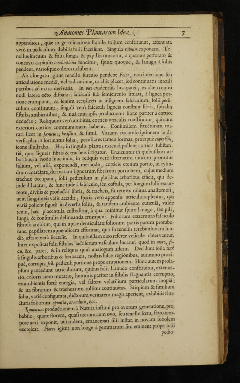 appendices, qux in germinatione flabile folium conftituunt, attenuata vero in pediculum flabilis folii faceflunt. Singula exponam. Te¬ nellus furculus & folia fungis 6c papillis ornantur, a quarum perforato dc concavo capitulo terehinthim funditur j fpince quoque, dc lanugo a foliis pendent, variofque colores exhibent. Ab elongato igitur tenello fiirculo pendent folta, non infertione feu articulatione media, vel radicatione, ut aliis placet, fed continuatis furcuU partibus ad extra derivatis. In yite evidentius hoc patet j ex altero enim nodi latere oao difparati fafciculi fub femicirculo fituati, a lignea por¬ tione erumpunt, dc fenfim recolledli in infignem fafciculum, folii pedi¬ culum conftituunt • finguli vero fafciculi ligneis conflant fibris, fpirales fiftulas ambientibus; dc una cum ipfis producunair fibrae pariter a cortice dedudic : Reliquum vero ambitus, corticis utriculis conftituitur, qui cum exteriori cortice communionem habent. Confimilem ftruduram mi¬ rari licet in fmiculo, hrajslca, dc fimil. Variam circumfcriptionem in di- verfis plantis fortiuntur folia; peculiares tamen formas, praecipue cuprepus^ icone illuftrabo. Haec in fingulis plantis extensa pollent corticis flibllan- tia, qux ligneis fibris dc tracheis irrigatur. Enafcuntur in quibufdam ar¬ boribus in nodo hinc inde, in reliquis vero alternarim unicum promitur folium, vel alia, exponenda, methodo; corticis etenim portio, in cylin¬ drum coardata,derivatam lignearum fibrarum portionem, cujus medium tracheae occupant, folii pediculum in pluribus arboribus efficit, qui de¬ inde dilatatur, dc hinc inde a fafciculo, feu coftula, per longum folii excur¬ rente, divifis dc produdis fibris, dc tracheis, fit rete ex inutua anaftomofi, utinfanguineisvafis accidit; fpatia vero appenfis utriculis replentur, qui varia pollent figura in diverfis foliis, dc tandem ambiente cuticula, valde tenui, hxc placentula cuftoditur, a qua minimae fpinae lanugo, feu pili, jfungi' dc confimilia delineanda erumpunt. Foliorum extremitas fafciculo fibrofo ambitur, qui in apice denticulatae foliorum partis parum protube¬ rans, papillarem appendicem efformat, quae in tenellis terebinthinam fun¬ dit- iftate vero ficceffit. In quibufdam oleo refertx veficuk obfervantur. Inter expofitas folii fiftulas ladiferum vafculum locatur, quod in moro c«, dcc. patet, dc in reliquis quid analogum aderit. Decidunt folia fere i fingulis arboribus dc herbaceis, noftris hifce regionibus, autumno praeci¬ pue corrupta fcil pediculi portione prope eruptionem. Hunc autem prola- pfum praecedunt utriculorum, quibus folii latitudo conftituimr, extenua¬ tio coloris item mutatio, humoris pariter in fiftulis ftagnantis corruptio, exambientis forte energia, vel faltem volatilium particularum inopia; Sc ita fibrarum dc trachearum tollitur continuitas. Stirpium dc fimilium folia, varie configurata, didorum veritatem magis aperient, exhibitis ftru- ituris foliorum oMntU, arundinU, &c. <I{_amorum produdionem si Natura inftitui pro ovomm generatione, pro, babile- quare florem, quafi uterum cum ovo, feu tenello foetu, itato tem¬ pore a«i exponit, ut tandem, emancipati filii inftar, in novam fobolem herefeat. Flom igitur non longe a gemmarum fitu eminent prope tolii