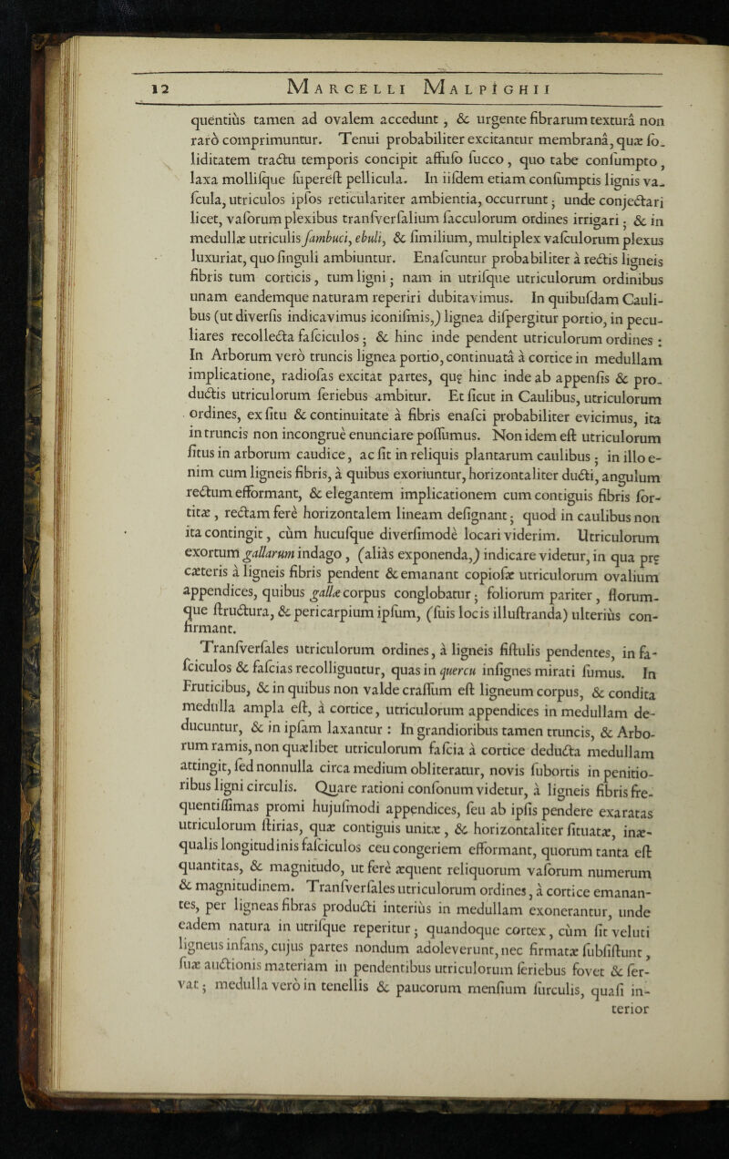 quentius tamen ad ovalem accedunt, &c urgente fibrarum textura non rard comprimuntur. Tenui probabiliter excitantur membrana, qux fb. liditatem tra(5lu temporis concipit afFulb fucco, quo tabe confumpto, laxa mollifque liipereft pellicula. In iifHem etiam confumptis lignis va- fcula, utriculos ipfos reticulariter ambientia, occurrunt • unde conjectari licet, vafbrum plexibus tranrverfalium lacculorum ordines irrigari ^ Sc in medullic utriculis fambuci^ ebulij & limilium, multiplex vafculonim plexus luxuriat, quo finguli ambiuntur. Enafcuntur probabiliter a reCtis ligneis fibris tum corticis, tum ligni • nam in utrifque utriculorum ordinibus unam eandemque naturam reperiri dubitavimus. In quibufdam Cauli¬ bus (ut diverfis indicavimus iconifmis,) lignea difpergitur portio, in pecu¬ liares recolleCta fafciculos j &c hinc inde pendent utriculorum ordines : In Arborum vero truncis lignea portio, continuata a cortice in medullam implicatione, radiofas excitat partes, qu? hinc inde ab appenfis & pro- duClis utriculorum feriebus ambitur. Etficut in Caulibus, utriculorum . ordines, ex litu & continuitate a fibris enafci probabiliter evicimus, ita in truncis non incongrue enunciare pofliimus. Non idem eft utriculorum litus in arborum caudice, ac fit in reliquis plantarum caulibus j in illo e- nim cum ligneis fibris, a quibus exoriuntur, horizontaliter dudii, angulum redum efibrmant, 6c elegantem implicationem cum contiguis fibris lor- tit^ , redam fere horizontalem lineam defignant j quod in caulibus non ita contingit, cum hucufque diverfimode locari viderim. Utriculorum exortum gallarum indago, (aliis exponenda,) indicare videtur, in qua pr? canteris iligneis fibris pendent & emanant copiofsc utriculorum ovalium appendices, quibus gaU<^ corpus conglobatur j foliorum pariter, florum¬ que ftruduraj&pericarpiumiprum, (fuis locis illuftranda) ulterius con¬ firmant. Tranfverlales utriculorum ordines, a ligneis fiftulis pendentes, in fa¬ fciculos & falcias recolliguntur, quas in infignes mirati fiimus. In Fruticibus, <Sc in quibus non valde craflum efl: ligneum corpus, & condita medulla ampla eft, a cortice, utriculorum, appendices in medullam de¬ ducuntur, & in ipfam laxantur : In grandioribus tamen truncis, & Arbo¬ rum ramis, non quaelibet utriculorum faftia a cortice deduda medullam attingit, fed nonnulla circa medium obliteratur, novis fubortis in penitio¬ ribus ligni circulis. Quare rationi confonum videtur, a ligneis fibris fre- quentiflimas promi hujulmodi appendices, feu ab ipfis pendere exaratas utriculorum ftirias, qua^ contiguis unitx , horizontaliter fituata?, inae¬ qualis longitudinis fafciculos ceu congeriem eflormant, quorum tanta eft quantitas, & magnitudo, ut fere ^quent reliquorum vafbrum numerum & magnitudinem. Tranfverfales utriculorum ordines, a cortice emanan¬ tes, per ligneas fibras produdi interius in medullam exonerantur, unde eadem natura in utrifque reperitur j quandoque cortex, cum fit veluti ligneus infans, cujus partes nondum adoleverunt, nec firmatae flibfiftunt, fuae audionis materiam in pendentibus utriculorum feriebus fovet defer¬ vat - medulla vero in tenellis dc paucorum menfium fiirculis, quafi in¬ terior