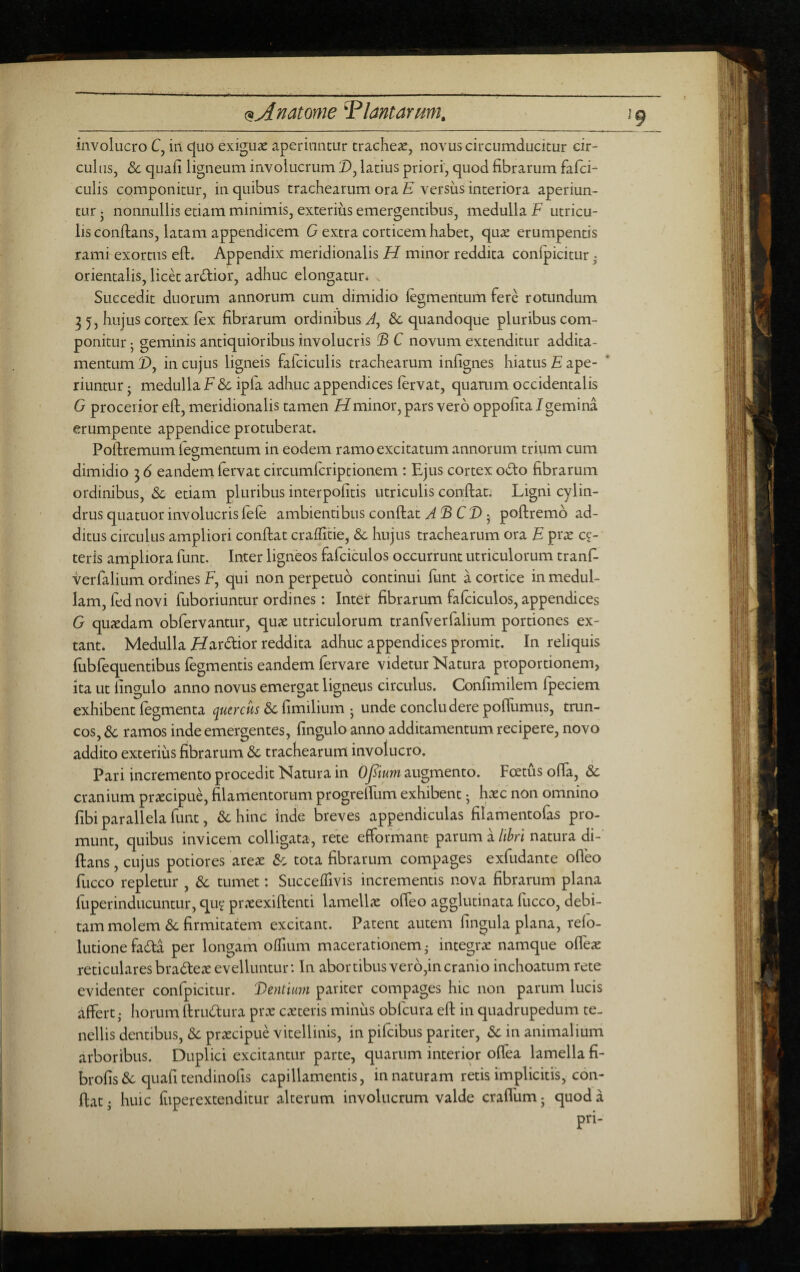 involucro C, in quo exiguae aperiuntur tracheae, novus circumducitur cir¬ culus, &: quafi ligneum involucrum 2), latius priori, quod fibrarum fafci- CLilis componitur, in quibus trachearum ora E versus interiora aperiun¬ tur j nonnullis etiam minimis, exterius emergentibus, medulla F utricu¬ lis conflans, latam appendicem G extra corticem habet, quae erumpentis rami exortus efl. Appendix meridionalis H minor reddita confpicitur ■ orientalis, licet arctior, adhuc elongatur* . Succedit duorum annorum cum dimidio fegmentum fere rotundum 3 5, hujus cortex fex fibrarum ordinibus Sc quandoque pluribus com¬ ponitur 5 geminis antiquioribus involucris !B C novum extenditur addita¬ mentum i), in cujus ligneis fafciculis trachearum infignes hiatus E ape¬ riuntur j medulla F& ipfa adhuc appendices fervat, quarum occidentalis G procerior efl, meridionalis tamen Hminor, pars vero oppofita Igemina erumpente appendice protuberat. Pollremum fermentum in eodem ramo excitatum annorum trium cum dimidio 3 6 eandem fervat circumfcriptionem : Ejus cortex 06I0 fibrarum ordinibus, Sc etiam pluribus interpofitis utriculis conflan Ligni cylin¬ drus quatuor involucris fefe ambientibus conflat ^ C 2) 5 poflremo ad¬ ditus circulus ampliori conflat craffitie, & hujus trachearum ora E prx ce¬ teris ampliora funt. Inter ligneos fafciculos occurrunt utriculorum tranf- verfalium ordines F, qui non perpetuo continui lunt a cortice in medul¬ lam, fed novi fuboriuntur ordines: Inter fibrarum fafciculos, appendices G quxdam obfervantur, quae utriculorum tranfverfalium portiones ex- tant. Medulla Hardior reddita adhuc appendices promit. In reliquis lubfequentibus fegmentis eandem fervare videtur Natura proportionem, Ita ut lingulo anno novus emergat ligneus circulus. Confimilem fpeciem exhibent fegmenta 6c fimilium • unde concludere pofllimus, trun¬ cos, 6c ramos inde emergentes, fingulo anno additamentum recipere, novo addito exterius fibrarum & trachearum involucro. Pari incremento procedit Natura in Ofium augmento. Foetus offa, & cranium praecipue, filamentorum progreffum exhibent 5 haec non omnino fibi parallela funt, 6chinc inde breves appndiculas filamentofas pro¬ munt, quibus invicem colligata, rete effofmant parum a libri natura di- ftans, cujus potiores areae Sc tota fibrarum compages exfudante ofleo fucco repletur , 6c tumet: SuccefTivis incrementis nova fibrarum plana fuperinducuntur, qu? praeexiflenti lamellae otfeo agglutinata fucco, debi¬ tam molem & firmitatem excitant. Patent autem fingula plana, refo- lutionefada per longam ofTium macerationem- integrae namque offex reticularesbra61:eae evelluntur: In abortibus ver6,incranio inchoatum rete evidenter confpicitur. Dentium pariter compages hic non parum lucis affert • horum flruGtura prae caeteris minus obfcura efl in quadrupedum te¬ nellis dentibus, & praecipue vitellinis, in pifcibus pariter, Sc in animalium arboribus. Duplici excitantur parte, quarum interior offea lamella fi- brofis66 quafitendinofis capillamentis, innaturam retis implicitis, con¬ flat • huic fiiperextenditur alterum involucrum valde craffum j quod a pri-