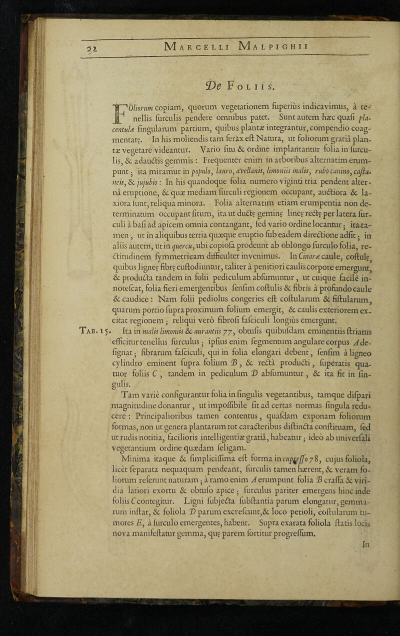 71 ^De F O L I I S. ' “'^bliorum copiam, quorum vegetationem fuperius indicavimus, a te-^ 1^ nellis furculis pendere omnibus patet. Sunt autem haec quafi pia- centuU lingularum’ partium, quibus plantae integrantur, compendio coag¬ mentat?. In his moliendis tam ferax eft Natura, ut foliorum gratia plan¬ tae vegetare videantur. Vario litu ordine implantantur folia in Hircu¬ lis, Sc adaudtis gemmis: Frequenter enim in arboribus alternatim erum¬ punt j ita miramur in populo^ laurOy ayellanls, limoniis ?nalisj ruhb canino^ cajla- 7ielSy Sc jujuhis: In his quandoque folia numero vigind tria pendent alter¬ na eruptione, Sc quae mediam Hirculi regionem occupant, audiora Sc la¬ xiora lunt, reliqua minora. Folia alternatim etiam erumpentia non de¬ terminatum occupant litum, ita ut dud? gemin? line? red? per latera Hir¬ culi a bafi ad apicem omnia contangant, led vario ordine locantur • itara- men, ut in aliquibus tertia quxque eruptio lub eadem directione adfit • in aliis autem, ut in quercu, ubi copiofa prodeunt ab oblongo furculo folia, re- ditudinem lymmetrieam difficulter invenimus. In caule, collui?^ quibus ligne? libr? cuftodiuntur, taliter a penitiori caulis corpore emergunq Sc produda tandem in folii pediculum ablumuntur, ut cuique facile in- notelcat, folia fieri emergentibus lenfim collulis Sc fibris a profiindo caule caudice: Nam folii pediolus congeries eft coftularum ^cfiUularum, quarum portio fupra proximum folium emergit, & caulis exteriorem ex¬ citat regionem; reliqui vero fibrofi falciculi longius emergunt. Tab. 15. Ita in malis limoniis & aurantiis 77, obtulis quibuldam eminentiis ftriatus efficitur tenellus Hirculus ^ ipfiusenim fegmentum angulare corpus ^de- lignat j fibrarum falciculi, qui in folia elongari debent, fenfim a ligneo cylindro eminent fupra folium , Sc reda produdi, Hiperatis qua- tuor foliis C , tandem in pediculum X> abHimuntur, Sc ita fit in lin- cjiilis. Tam varie configurantur folia in lingulis vegetantibus, tamque dilpari magnitudine donantur , ut impoffibile fit ad certas normas lingula redu¬ cere : Principalioribus tamen contentus, quafdam exponam foliorum formas, non ut genera plantarum tot caraderibus diftinda conftituam, led ut rudis notitia, facilioris intelligentix gratia, habeatur • ideo ab univerlali vegetantium ordine qucedam leligam. Minima itaque Sc limpliciflima eft forma inc«p^qf/o78, cujus foliola, licd feparata nequaquam pendeant, Hirculis tamen haerent, Sc veram fo¬ liorum referunt naturam j a ramo enim J erumpunt folia ^ craffa Sc viri¬ dia latiori exortu Sc obtulo apice 5 Hirculus pariter emergens hinc inde foliis C contegitur. Ligni lubjeda Hibftantia parum elongratur, gemma¬ rum inftar, <Sc foliola D parum excrefcunt,& loco petioli, coftularum tu¬ mores E, a Hirculo emergentes, habent. Supra exarata foliola ftatis locis nova manifeftatur gemma, qu? parem Ibrtitur progrelliim.