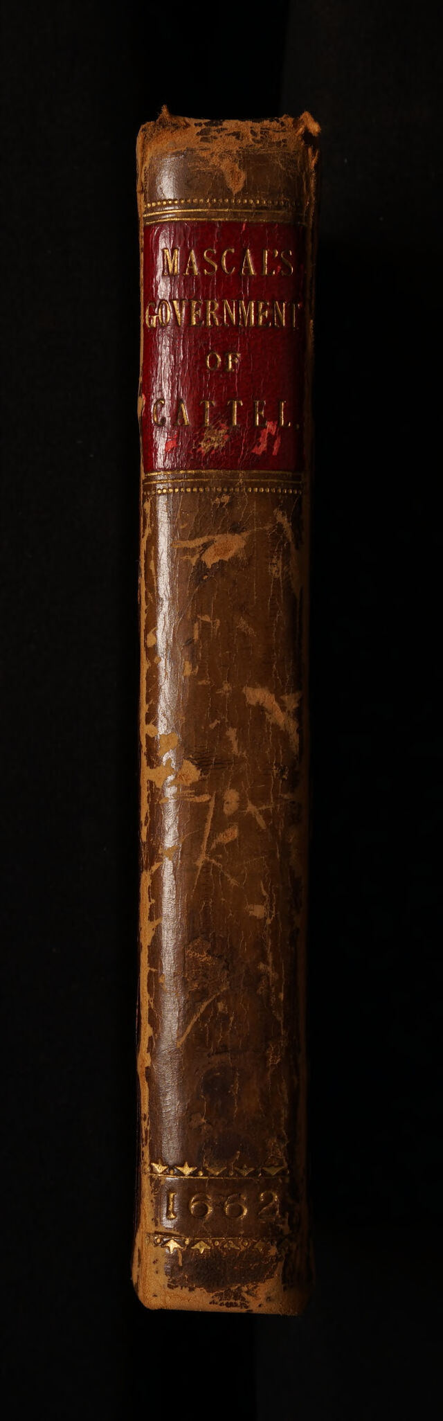digitised image 2