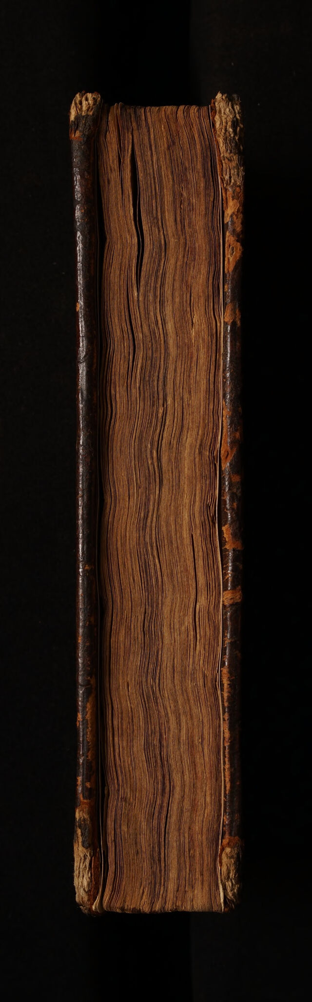 digitised image 3