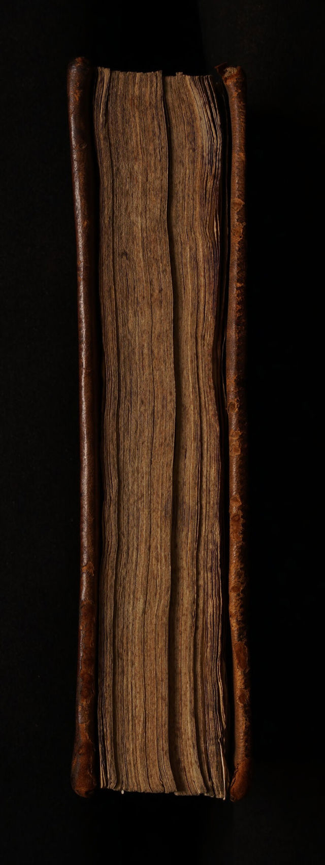 digitised image 3
