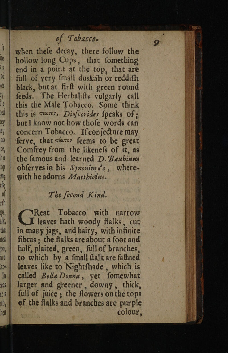 cD — — SS OO8OO of T abated. end in a point at the top, thac are black, butat firft with green round feeds. The Herbalifis vulgarly call this the Male Tobacco. Some think this is 7«rv, Diofcorides {peaks of; but I know not how thofe words can concern Tobacco. Ifeonjedture may ferve, that 77 feems to be great Comfrey from the likenefs of it, as the famous and learned D. Bauhinns obfervesin his Syxonim,’s , where- with he adorns AZsethiolus. The fecond Kind. Reat Tobacco with narrow leaves hath woody ftalks, cut fibras ; the fialks are about a foot and half, plaited, green, full of branches, to which by a {mall flalk are faftned colour,