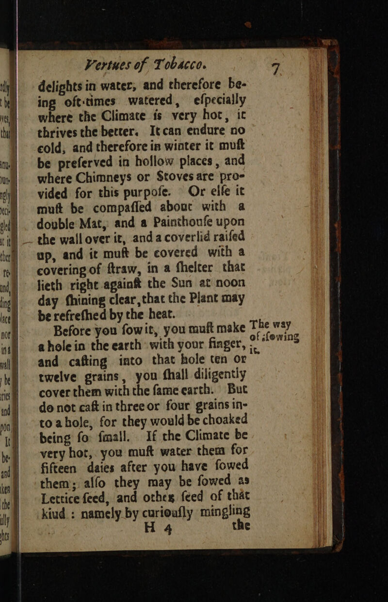 delights in water, and therefore be- ing oft-times watered, efpecially where the Climate is very hot, ic thrives the better. Itcan endure no cold, and therefore in winter it muft be preferved in hollow places, and where Chimneys or Stoves are pro- vided for this purpofe. Or elfe it mutt be compaffed about with a double Mat, and a Painthoufe upon sill — the wall over it, and acoverlid raifed up, and it muft be covered with a covering of ftraw, in a fhelter that lieth right again&amp; the Sun at noon day fhining clear,that the Plant may be refrefhed by the heat. Before you fowit, you muft make The way a hole in the earth with your finger, etal, and cafting into that hole ten or twelve grains, you thall diligently cover them with the fameearth. But do not caft in three or four grains in- to ahole, for they would be choaked being fo fmall. If the Climate be very hor, you muft water them for fifteen daies after you have fowed them; alfo they may be fowed as Lettice feed, and othes feed of that kiud.: namely by curioufly mingling H 4 the