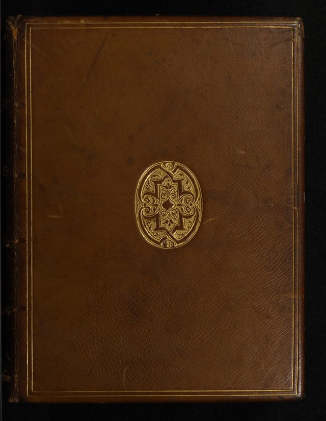 No text description is available for this image