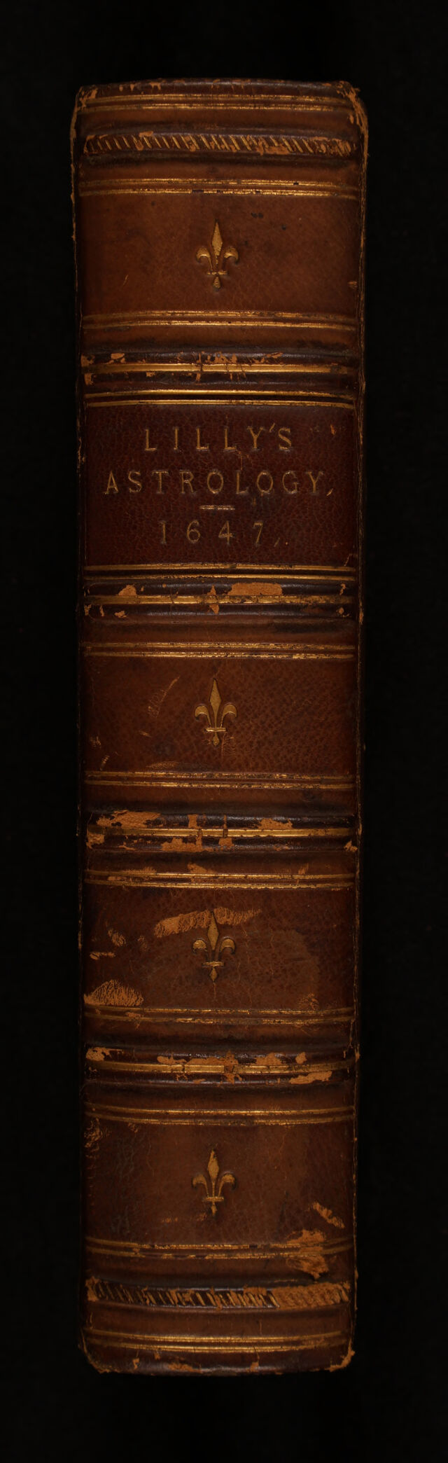 No text description is available for this image