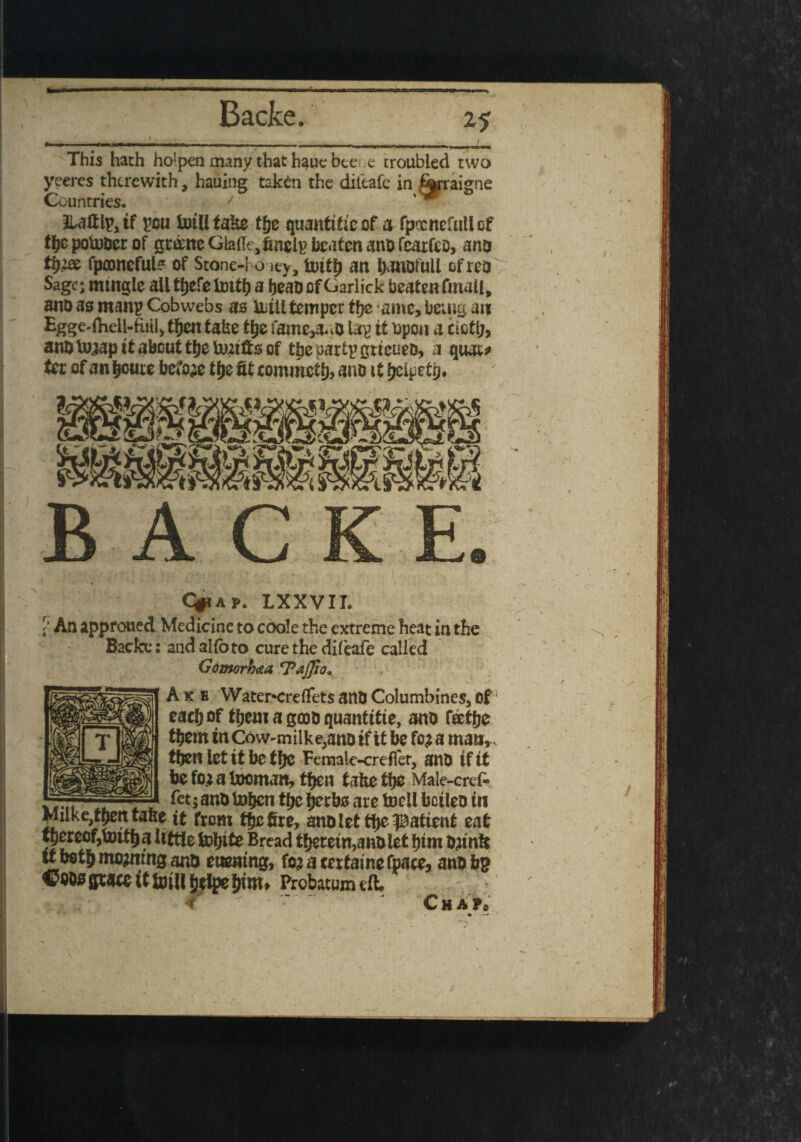 This hath holpen many that h^ue bee .e troubled two yeeres therewith, hauing taken the dileafe in forraigne lUtflp, if peu fotllfako tfje quanti&eof a fptcnefuliof tljc poto&er of gr&ne Glatfe,finelp beaten ano fcarfeo, ano tty& fpconeful? of Stone-honey, tottjj an Ijanotull efreo Sage; mingle all t^efe Imtb a beao of Garlick beaten final!, anoas rnanp Cobwebs as lull temper tty ame* being an Egge-lhell-fuil, tljcn take tty fame,auO lap it open a cicttj, anoto^apitabcutt^elu^tftsof the party grtcueo, a quar* ter of an^oute before tfje fit commetlj, ano it jjelpetij* s~ BAG C#ia k LXXVII. t An approued Medicine to coole the extreme heat in the Backe: andalfoto cure the dileafe called Gomorhaa rP*ffio. A k b Water*creflets ano Columbines, Of cacf) of ffjem a gcoo quantise, ano faffje them in Cow-milke,ano if it be foj a man, then let it be tijc Female-crefi'er, ano if it be for a tooman, then take tbs Male-cref- 8 jSi: T txT\vl?) lif Miike then take it from the fire, ano let tfie patient eat thereof,tmtba little tobite Bread therein,ano let him brink it both mommg ano etoning, foramtainefoace, ano bp Coos grace it foillbelpe him, Probaumuft. C H A ?c r- > * n