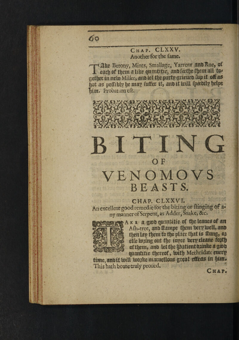 do Chap. CLXXV. Another for the fame. Betotiy, Mints, Smallage, Yarrow atttJ Rue, of cacij of them a like quantitie, anoftcthe fi>em all to getter in neln Milke, ana let tlje party grieueD tup it off as -jot as pofftbly he mag fuffer tt» ana it Haiti fpertrily fjelpe itm* Probatumeft. r H _ iraME? 1(2 IT G O F YEN OMOVS BEASTS. CHAP. CLXXVI. An excellent good remedie for the biting or flinging of a- ny manner of Serpent, as Adder, Snake, &c. A k e a geoa quantitie of flic leaues of an Afh-tree, ano tfampe themberyfoell,anu then lay them to the place that is ffnng, o? elfe facing out the tuyce bery cleane fojfh of them, ano let the Patient otinfee a gino quantise thereof, tnit!) Methridate eticry time, ano it brill toojfsc macuellous great effects in hint This hath beene truly proued.