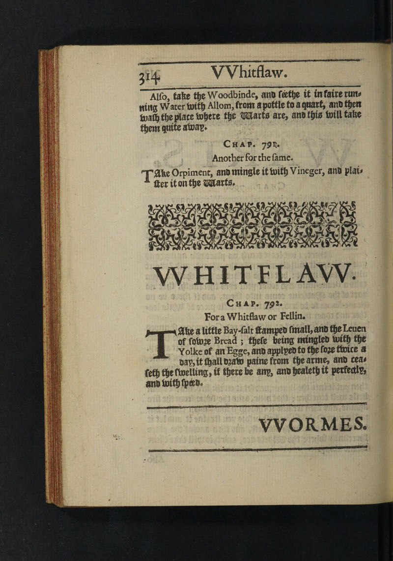 VVhitflaw. 31$ Alfo, take tje Woodbinde, ana f«t&e it infairerum Ming Water tottt) Allom, from a pottle fo aqnarf, ana tfjen toa^fte^atetoliere t&e Warts are, ana tfjis bull take tljem quite afoap. Chap. 7jq. Another for the fame. T&keOrpiment, ano mingle it butt) Vineger, ana plat* 1 Her it on t&e Warts. VVHITFLAW- Chap. yp2. For a Whitflaw or Fcllin. Tafee a little Bay-falt itampea fmall, ana f&eLeuen of fotoje Bread ; ffjefc being minglea Uiiti) tje Yolke of an Egge, ana applpeo to tfje foje ttoicc a Bap,it f&allojato painefrom t&earme, ana cm fetl) t&e Knelling, tt there be anp, ana bealetb it perfectly analui^fpeta. WORMES.