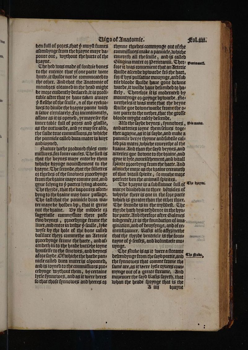 0 ben full of pozes, that $ moyſt fumes poure out, wythout the hurte of the bꝛapne. The hed was made of ſondꝛie bones to the entente that yl one parte were hurte, it chulde not be commucated to the other. And that the Anatomie ol membres cõtained in the head might be moze evidently declared, it is pꝛoki⸗ table after that pe haue taken awapye Wes to diuide the bzayne panne with afatoe circularelp.Foꝛ incontinentlp, aſſone as it is opened, ye maye ſee the inner table full of pozes and glaſſie, as the outwarde, and ye may fee alſo, the laide true commiſſures, to whiche the pannicle called dura mater is knyt and iopned. Nature hathe pꝛoduced thies com⸗ miſſures, foʒ foure cauſes. The firſt is that the bepnes mape entre by them whiche bꝛynge nourichement to the bꝛàyne. The ſeconde, that the killettes oꝛ thꝛedes of the ſinowes pꝛocedynge from the bꝛaine mape comme out, and gyue felpng to 5 partes lying aboute. ‘Che thyꝛde, that the vapoures alcens dyng to the bꝛatne may haue pallage. The laſt that the pannicle dura ma⸗ ter maye be holden vp, that it greue not the bꝛaine. By the middele 02 ſagyttalle commpllure there paſle two vepnes, pꝛocedynge frome the liuer, and entre in vndꝛe p ſculle, lpke hoyle by the hole ok the bone called balilare thepꝛ commethe an Arterie pꝛocedpnge frome the harte, and al⸗ cendeth in to the heade vntibhe ioyne hymſelfe to the linowes, and veynes akoꝛe ſapde. Ot whiche the harde pans and is ioyned to the commiſſures pꝛo⸗ cedynge wythout them, vp certaine lytle ſpnnowes, and as it were heres fo that thofe ſynnowes and heeres oz d thynne thꝛedes commpnge out ofthe couereth all the ſculle, and is called foze it was conuenient that an Arterie chulde alcende vpwarde fro the hart, fo2 if bys pulſatiue mouynge, and tub warde, it wolde haue deſcended to ha⸗ ſtely. Therefore it is moderated by mountynge oꝛ gopnge vpwarde. Me⸗ uer parte to the nether, that the groſſe bloode myght eafelp deſcende. Allo the lade veynes , ſynnoweg, and arteries iopne them ſelues toge⸗ ther agayne, as it is fayde,and make a pannicle verpe thynne and lubtile cal⸗ led pia mater, whiche couerethe al the bꝛaine. And than the ſayd veynes, and arteries goe downe to the bꝛaine, and gpue it le, nouriſchement, and vitall ſpirite pꝛocedyng krom the harte. And alſmuche moze as the bꝛaine receaueth of that vitall ſpirite, lo muche moze perfecte ben the animail ſpirites. marpe diuided in to thꝛee vetricles of whyche there is one in the fore parte which is greater than the other thzee. The feconde is in the myddeſt. The thyꝛde bath hys reſydente in the hyn⸗ dꝛe parte. And therkoze alter Galenes gination, and of Deuyfpnge; and of ree membzaunce. Ralts alfo affyzmethe that the thyꝛde ventricle is the founs tayne of p ſenſeg, and voluntarie mo⸗ uynge. . met ot The Nuke is as it were a ſtreame the ſpnnowes that comme frome the fame are, as it were lytle ryuers com⸗ mynge out of a greate ſtreame. And whan the heade ſpꝛynge that is the A ii bzapne