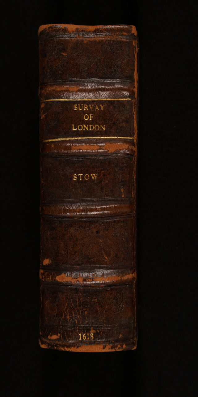 digitised image 2