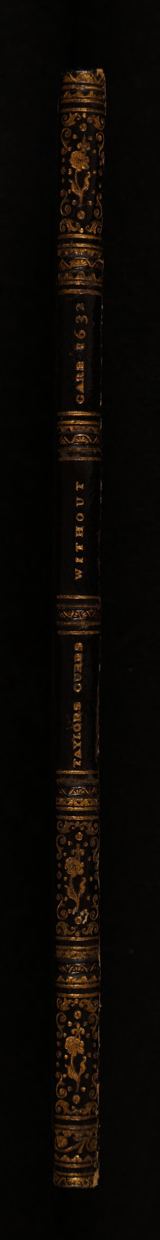 digitised image 2
