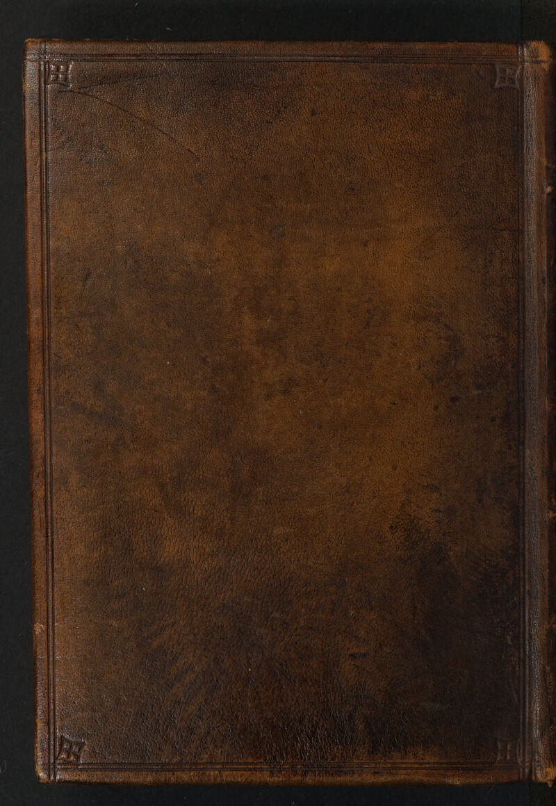 No text description is available for this image