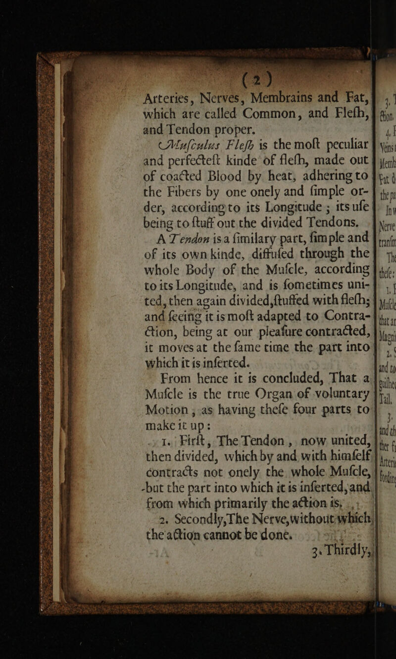 bert pn . hey tae Sa ONC r. 8 hee | ( 2) ie regis p | Arteries, Nerves, Membrains and Fat, which are called Common, and Flefh, and Tendon proper. Lt Maufculus Flefh is the molt peculiar } yn. and perfecteft kinde’ of flefh, made out J yqh of coacted Blood by heat, adhering to Jp, 4 the Fibers by one onely and fimple or-| der, according to its Longicude ; its ufe| being to {tuff out the divided Tendons, A Tendon isa fimilary part, fimple and | of its ownkinde, diffufed through the | whole Body of the Mulcle, according | to its Longitude, and is fometimes uni-} | ted, then again divided, {tufted with fleths } 11 and feeing it ismoft adapted to Contra-| tion, being at our pleafure contracted, | it moves at the fame time the part into} which it is inferted. | From hence it is concluded, That a Mufcle is the true Organ of voluntary jy, Motion , as having thefe four parts to} , make it up: Lod 1./ Firlt, The Tendon ,. now united, |, then divided, which by and with himfelf}, contracts not onely the. whole Mufcle, -but the part into which it is inferted, and | from which primarily the action ts; ,,;. 2. Secondly, The Nerve, without which, the aftion cannot be done. sce al ok, 3. Thirdly, that at Magni et fi tter| foi