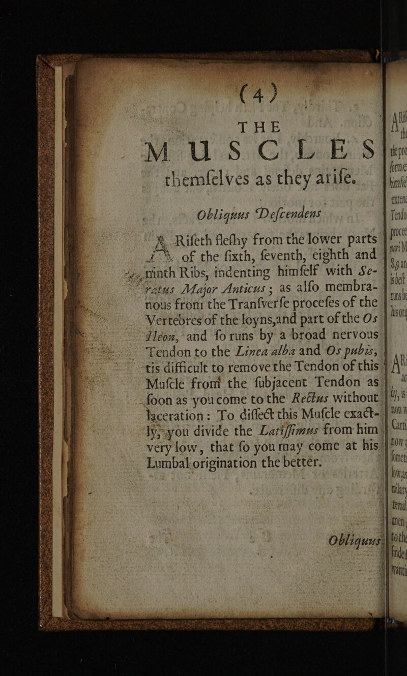 ‘I ony Acton Obliquus Defcenaens 1 Tendo X, Rifeth Alefhy from the lower parts a i % of the fixth, feventh, eighth and ” -»,qhinth Ribs, indenting himfelf with Se- |.** “vatus Alajor Anticus ; as alfo membra- }*™ nous from the Tranfverfe procefes of the |\ Vertebres of the loyns,and part of the Os | hs Zleon, and fo runs by a broad nervous | Tendon to the Linea alba and Os pubs, | tis difficult to remove the Tendon of this } A Mutcle front the fubjacent Tendon as}, * foon as youcome tothe Reftus without | laceration: To diffe this Mufcle exact- | Wysyou divide the Lariffimus from him | very low, that fo you may come at his | Lumbal origination the better. NOs Mak Boh, beet | maki te he ee orl ae 2 Be OES MED ed eg Wes ea ye