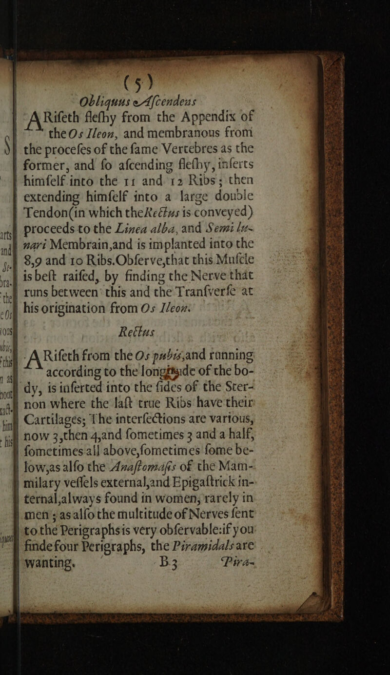 Obliquus eA[cendeus | ARifeth flefhy from the Appendix of | the Os Z/eon, and membranous from \ | the procefes of the fame Vertebres as the | former, and fo afcending flefhy, inferts | himfelf-into the 11 and 12 Ribs; then extending himfelf into a large double | Tendon(in which theReéius is conveyed) rh, Proceeds to the Linea alba, and Semi lu~ nl 7472 Membrain,and is implanted into the } 8,9 and 10 Ribs.Obferve,that this Mufcile | isbeit raifed, by finding the Nerve that they FUNs between ' this and the Tranfverfe at _his origination from Os Ileow. Rettus “of - A Rifeth from the Os pabs,and ranning &gt; ~ according to the longftside of the bo- | dy, is inferted into the fides of the Ster- | non where the laft true Ribs have their Cartilages; The interfections are vartous, ‘cd now 3,then 4,and fometimes 3 and a half, | fometimes al] above,fometimes fome be- | low,asalfo the Anaffomafs of the Mam- } milary veflels external,and Epigattrick in- | ternal,always found in women; rarely in | men; asalfo the multitude of Nerves fent | tothe Perigraphsis very obfervable:if you | findefour Perigraphs, the Piramidalsare wanting, B3 ie oe ape ek enor ane TE ans tee fee SAenisecem en Ba Lane . ae ae ae Ce ene se pen ale th Seika dee , ee wt P ‘ * Se me zs ( oe Se ree {denne tee Sey eg EET ihe ae a ce BO HAAN my