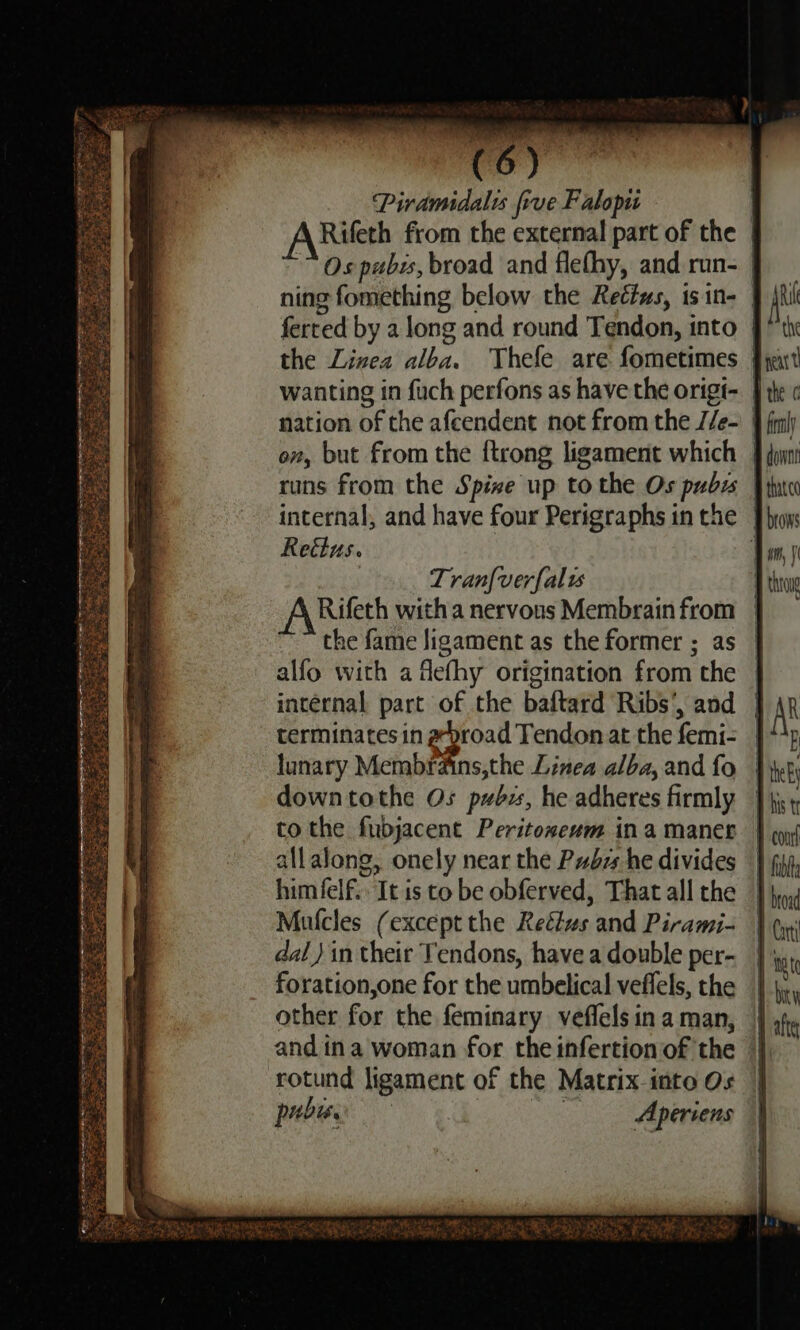 Piramidalis five Falopi Rifeth from the external part of the | Os pubis, broad and flefhy, and run- | ning fomething below the Reétws, isin- 9 jh ferted by a long and round Tendon, into 9° the the Linea alba. Thefe are fometimes Fyut wanting in fuch perfons as have the origt- | te « nation of the afcendent not from the Z/e- 9 fil on, but from the {trong ligament which f dun runs from the Spixe up to the Os pubes [into internal, and have four Perigraphs in the | hoy: Reitus. Tims | Tran{verfalw ho Rifeth witha nervous Membrainfrom | the fame ligament as the former ; as alfo with a defhy origination from the internal part of the baftard Ribs’, and terminates in a-proad Tendon at the femi- lunary Membrains,the Linea alba, and fo down tothe Os pubis, he adheres firmly tothe fubdjacent Peritoxeum ina maner allalong, onely near the Pubzs he divides himfelf.. It is to be obferved, That all the Mutcles (except the Reélws and Pirami- dal) in their Tendons, have a double per- foration,one for the umbelical veffels, the other for the feminary veflelsinaman, | andina woman for theinfertion of the | rotund ligament of the Matrix-into Os | pubes — Aperiens = ee = AS ee STS Sete ees \ me zs nd Gk riage ee