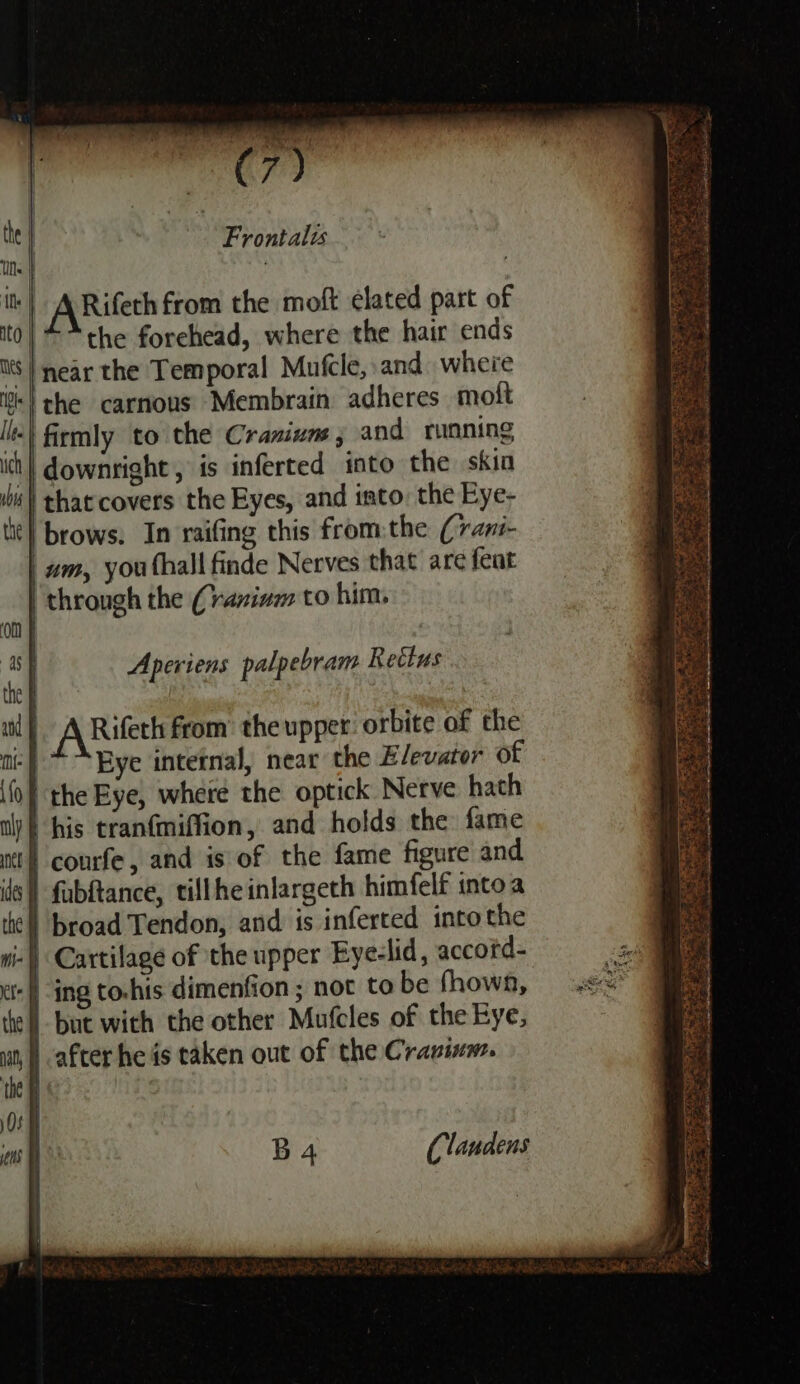 Frontalts | ARifeth from the moft elated part of &gt; the forehead, where the hair ends ‘| near the Temporal Mufcle, and. where ‘| the carnous Membrain adheres mot ‘| firmly to the Cranium, and running | downright , is inferted into the skin 'thatcovers the Eyes, and into: the Eye- it} brows. In raifing this fromthe (7ani- um, you hall finde Nerves that are feat through the (raninm to him, Apeviens pal, pebram Retlus Rifeth from the upper: orbite of the | * “Bye intetnal, near the Elevator of the Eye, where the optick Nerve hath | his tranfmiffion, and holds the fame | conrfe, and is of the fame figure and | fubftance, tillheinlargeth himfelf intoa | broad Tendon, and is inferted intothe |) Cartilage of the upper Eyelid, accord- -| ing to.his dimenfion ; not to be fhown, | but with the other Mufcles of the Eye, | after he is taken out of the Cravinm. B4 (laudens