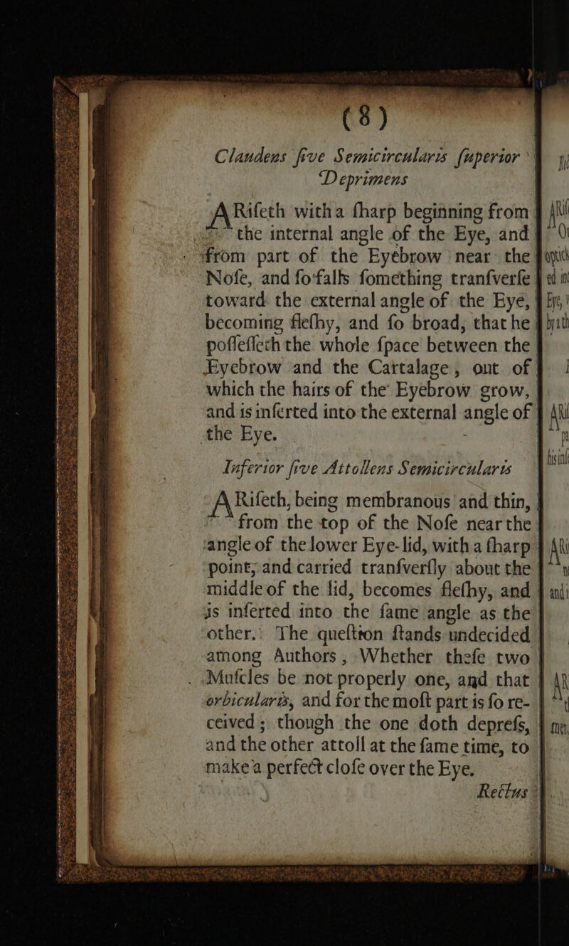 (3) Claudens five Semicircularis fuperior | 4) D eprimens | Rifeth witha fharp beginning from | Ah &gt; the internal angle of the Eye, and} 0 from part of the Eyebrow near’ the Jaw Nofe, and fo'falls fomething tranfverfe J «i toward: the external angle of the Eye, § fj,’ becoming flefhy, and fo broad, that he J hit poffeflech the whole {pace between the | Eyebrow and the Cartalage, out of which the hairs of the’ Eyebrow grow, and is inferted into the external angle of | AN the Eye. eine ih Inferior five Attollens Semicircularis st Rifeth, being membranous and thin, | from the top of the Nofe near the | angle of the lower Eye-lid, witha fharp point, and carried tranfverfly about the middle of the lid, becomes flefhy, and | js inferted into the fame angle as the } other. The queftton ftands undecided | among Authors, Whether thefe two | Mufcles be not properly one, aad that | orbicularés, and for the moft part is fo re- | ceived ; though the one doth deprefs, | and the other attoll at the fame time, to } make a perfect clofe over the Eye. i i aon TT I eee ee id eas ERA Bo EE Lon nO aR Beet Oop tan AIR al Se a Se ae BA Pah hd ote feta Wer ee OM Sy rR a ick ge te mo f i 4 is M ; r :