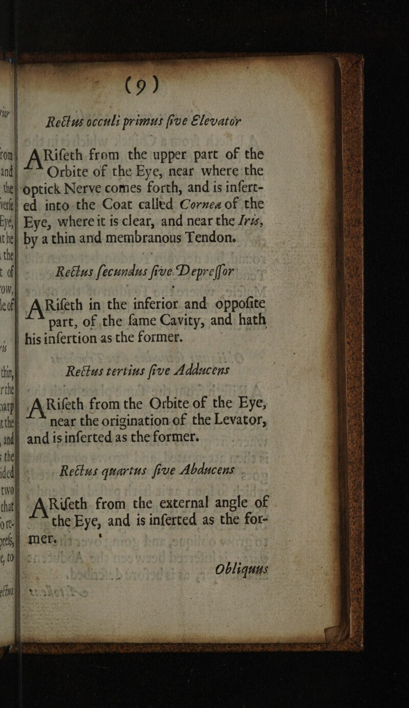 Reéttus occuli primus five Elevator Eg al Afifeth from the upper part of the ind| “~~ Orbite of the Eye, near where the the} Optick Nerve comes forth, and is infert- ict ed into the Coat called Cornea of the re) Eye, where it ts-clear, and near the Irs, tie) by a thin and membranous Tendon. the} : ‘| Reétus fecundus five Depreffor Ow, h : . 6 eofy ABifeth in the inferior and: oppofite | part, of the fame Cavity, and hath ,, | his infertion as the former. thin, | Reétus tertins five Adducens rthey | up) A Rifeth from the Orbite of the Eye, tthe | near the origination of the Levator, aul) and is inferted as the former. aT then del) Reélus quartus five Abducens (woe : ‘hth A Rifeth from the external angle of ot ~ the Eye, and is inferted as the for- cs mer. ' ; a) eee APT ae = “Ree oat 8 ae EER Sr sae Sn a eR rr ea Obliquus Rohe eas &lt;a S it : i Lt ark ' ( BS Saisie 7 ( didads sade eal Aa ? ”? = rs