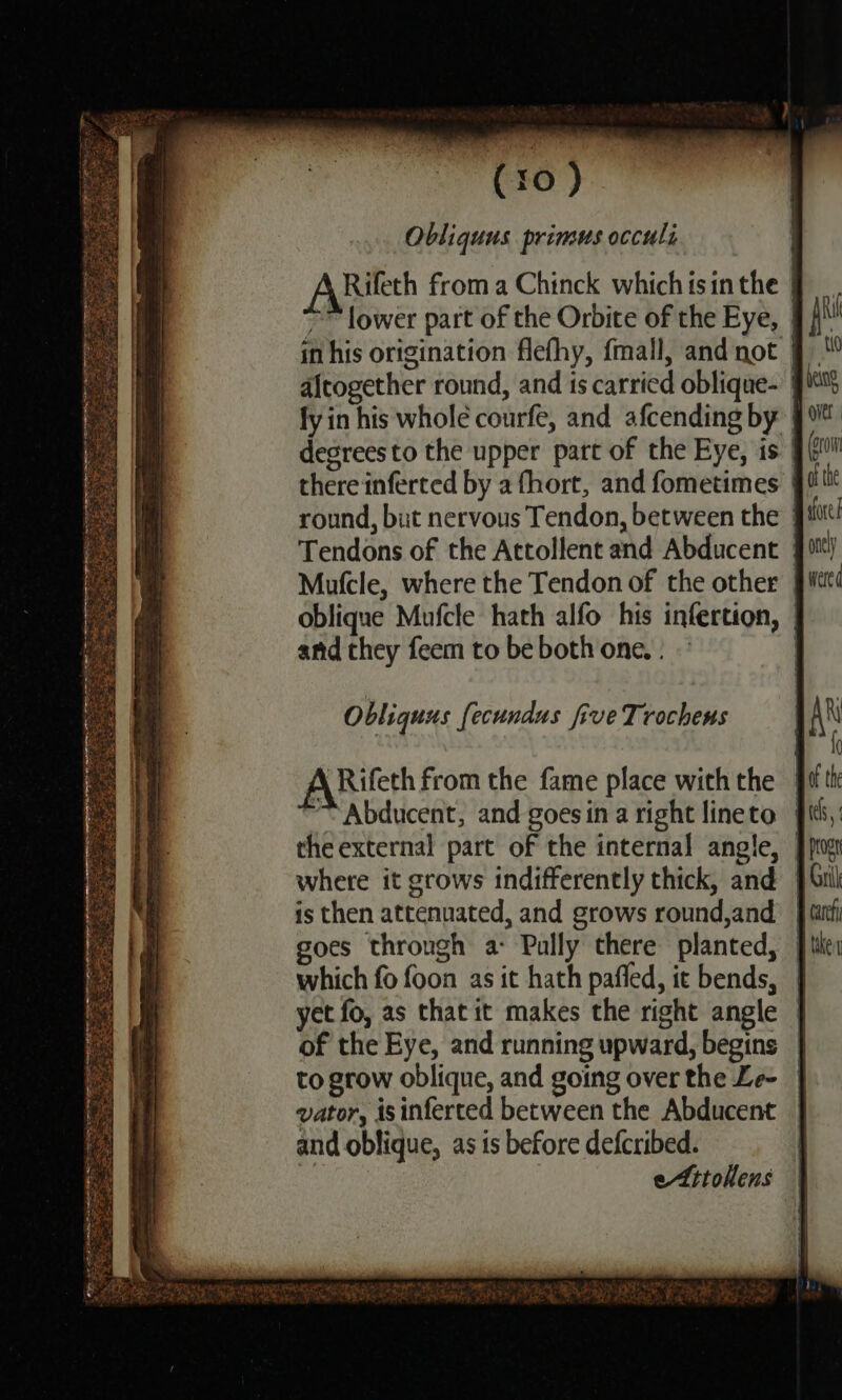 (x0 ) Obliquus primus occuli | Rifeth from a Chinck which isin the | &gt; lower part of the Orbite of the Eye, | altogether round, and ts carried oblique- | fy in his whole courfe, and afcending by | degreesto the upper part of the Eye, is | there inferted by a fhort, and fometimes round, but nervous Tendon, between the } Tendons of the Attollent and Abducent | Mufcle, where the Tendon of the other | oblique Mufcle hath alfo his infertion, and they feem to be both one. . ARifeth from the fame place withthe | ~ Abducent, and goes in a right lineto the external part of the internal angle, where it grows indifferently thick, and | is then attenuated, and grows round,and | goes through a: Pully there planted, | which fo foon as it hath pafled, it bends, | yct fo, as that it makes the right angle | of the Eye, and running upward, begins | to grow oblique, and going overthe Le- | vator, isinferced between the Abducent | and oblique, as is before defcribed. “ eAitolens