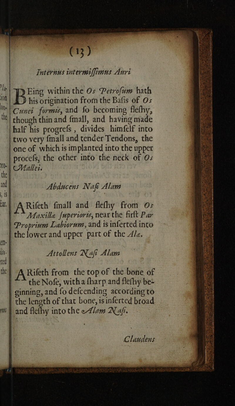 Internus intermiffimus Auri '} WD Eing within the Os Petrofum hath | BD his origination from the Bafis of Os !Cunei forme, and fo becoming flefhy, he though thin and fmall, and having made |half his progrefs , divides himfelf into | two very fmall and tender Tendons, the one of which is implanted into the upper procefs, the other into the neck of Os M0 | Malle. the | : and | Abducens Naf Alam 4G be at, | A Rifeth fimall and flethy from Os 1 Maxille {uperiorts, near the firlt Par | Proprium Labiorum, and is inferted into | the lower and upper part of the A/e. Attollens Nafi Alam i the ARifech from the top of the bone of the Nofe, witha fharp and flefhy be- | ginning, and fo defcending according to the length of that bone, is inferted broad mi} and flefhy into the edlam Naf. Claudens