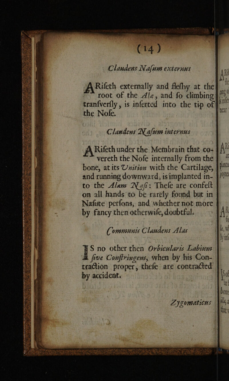 a er ee ep 2 &lt;a Claudens Naflum externus root of the Ale, and fo climbing | tranfverfly , is inferced into the tip of the Nofe. Clandens KN afum internus A Rifeth under the Membrain that. cos | A -vereth the Nofe internally from the ]} ‘ bone, at its Uxition with the Cartilage, |! and running downward, is implanted in- | to the Alam Naf: Thefe are confelt | on all hands to be rarely found bur in | Nafute perfons, and whether not more | by fancy then otherwife, doubtful. (ommunis Clandens Alas Zygomaticus