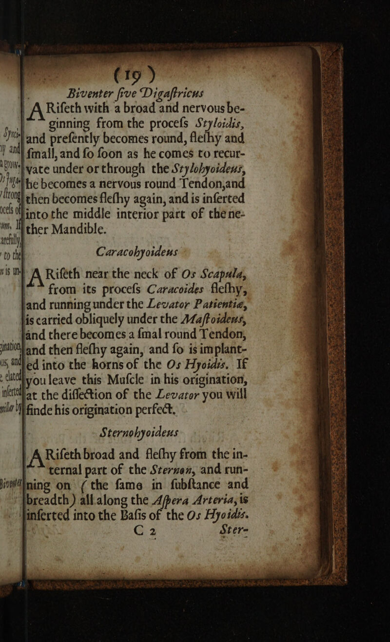 |. Biventer five Digaftricus | ARifeth with a broad and nervous be- F |~~ ginning from the procefs Styloidis, ‘Je and prefently becomes round, flefhy and Ya fmail, and fo foon as he comes to recur- {0+} vace under or through the Stylohyoidens, uel becomes a nervous round Tendon,and Mong} ¢hen becomes flefhy again, and is inferted lintothe middle interior part of the ne- 4 ther Mandible. | Caracohyoideus 1 A Rifeth near the neck of Os Scapala, i” from its procefs Caracoides flefhy, land running under the Levator Patientia, lis carried obliquely under the AZa/Foidens, _ Jand there becomes a {mal round Tendon, natiot} and then flefhy again, and fo is implant- i std] ed into the horns of the Os Hyoidis. If citlvou leave this Mufcle in his origination, ntttthar the difleCtion of the Levaror you will ila I finde his origination perfect. Sternohyoideus Rifeth broad and flefhy from the in- “ternal part of the Sterven, and cun- jiining on (the fame in fubftance and breadth) all.along the Apera Arteria,is Jinferted into the Bafis of the Os Hyoidss. C2 Ster-  aoe ; Rey ee: SES i 8s oS pe 3 rs SPS ate SS ees : get. &amp; a be ~ pees ES ee ee eee a ee ae Te ros a 2 rate ina c DaC ate Ss te PR ape » Pe em meee’ c: ‘oe reve ¥ hago. =a * eT oa og &lt;a iakubice — es seatt a nee