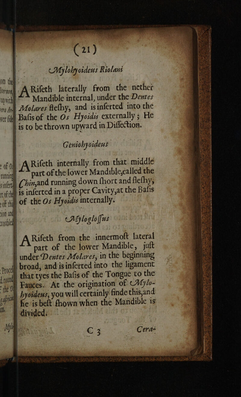 ea, Mylolyoidens Riolani om thei | tenon A Rifeth laterally from the nether upvitht &gt; Mandible internal, under the Dentes nt Ae Molares flethy, and is inferted into the vet fide | Bafis of the Os Hyoidss externally ; He } is to be thrown upward in Diffection. Ee pt Foy o&gt; : IY Measthliie Seen BS ee ee ‘ WA Sh tend Sha Racked And ~ zy © Ra 3 ea ek es Geniohyoidens Rifeth internally from that. middle | ~~ part of the lower Mandible,called the | Chinand running down fhort and flefhy, | is infected in a proper Cavity,at the Bafis ‘Sof the Os Hyoidrs internally. ae PRE a = Mylogloffws } ARifeth from the .innermoft lateral part of the lower Mandible, jut under Dentes Molares, in the beginning broad, and isinferted into the ligament | that tyes the Bafis of the ‘Tongue to the | Fauces. Ac the origination of Wyl- | hyoidens, you will certainly finde this,and | he is beft fhown when the Mandible is: | divided: RF ey AS ah Senge ag x teh Wo a6 Sp BOR ap a a ane Bias aa C 3 Cera