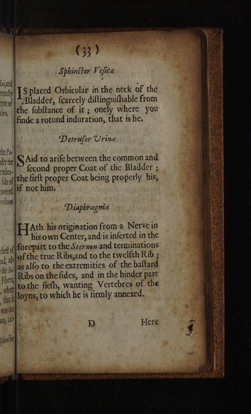 Sphinttor Vefice TSplaced Orbicular in the neck of the “Bladdet, {carcely diftinguifhable from the fubftance of it; onely where you \finde a rotund induration, that is he. | y Detrufor Urine he Pye gh Jorthe| S Aid to arife between the common and -a.{ fecond proper Coat of the Bladder ; Geog (the firkt proper Coat being properly his, vedi if Not him, rethumm ts STO ege | ‘Diaphragma bred of Ribs on the fides, and in the hinder part Fibers ‘tothe flefh, wanting Vertebres of the where) that Joyns, to which he is firmly annexed. wyasithe D Heré ms og TET ae eae Pend See Pant ee Lair ea Pig a os Balt ae OM AS a Pe ae ees bade din terete Fes TKS ase.