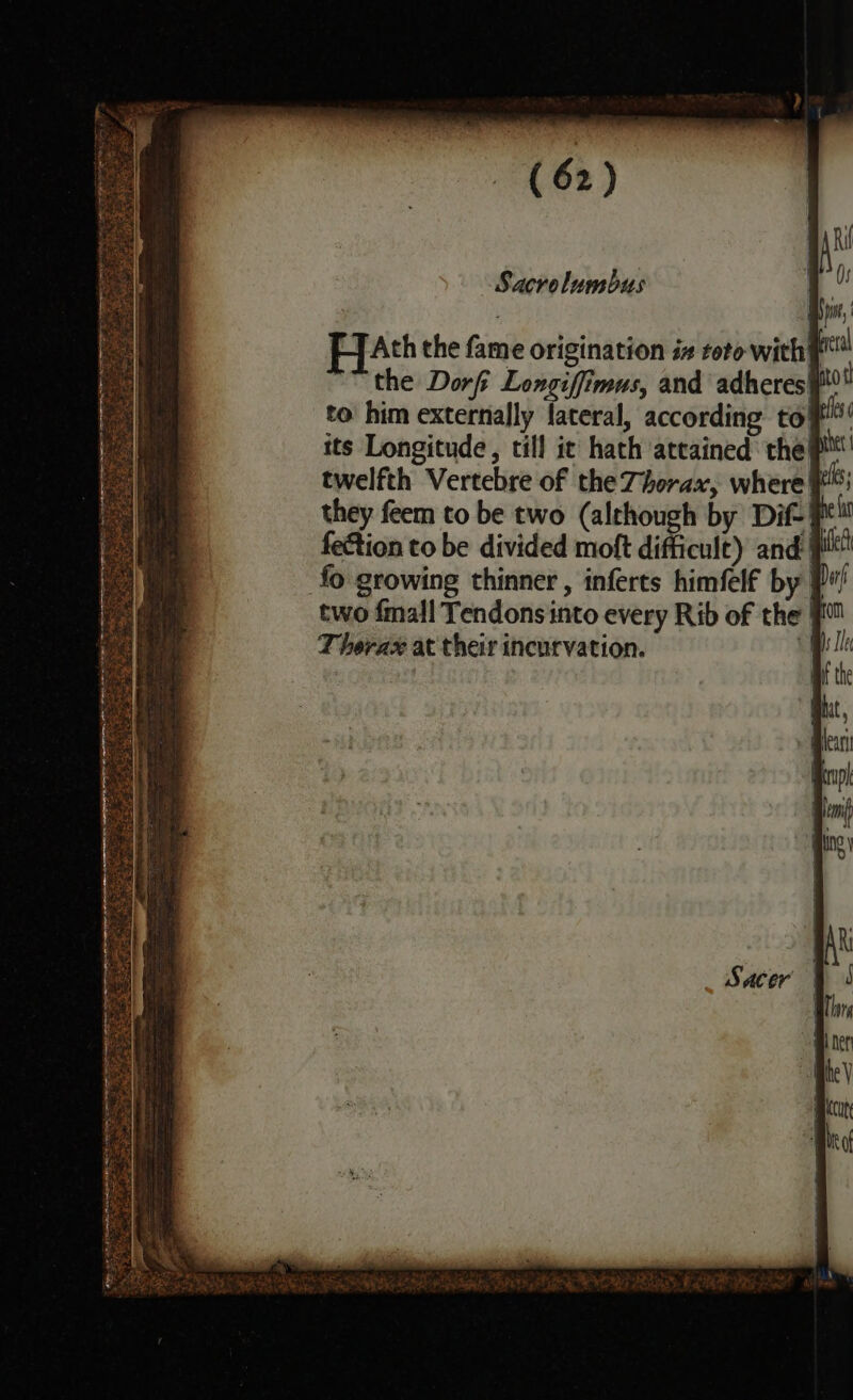 HyAth the fame origination ix toto with# the Dorfi Longiffimus, and adheres} to him externally lateral, according to its Longitude, till it hath atcained the} twelfth Vertebre of the Thorax, where}: they feem to be two (although by Dif- ¥* fection to be divided moft difficult) and: ie fo growing thinner , inferts himfelf by P/ two {mall Tendons into every Rib of the | Therax at their incurvation. y