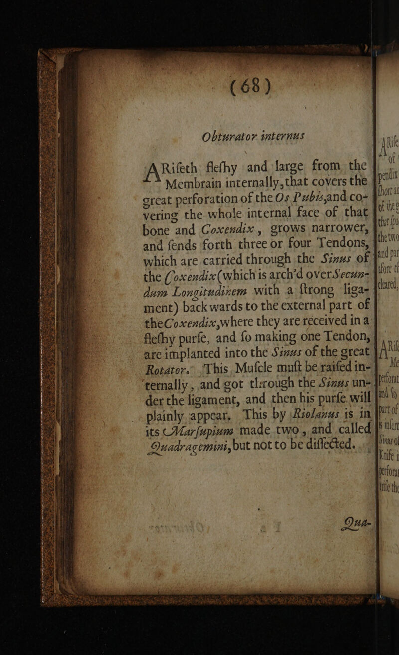 of thee are implanted into the Sisws of the great Quadragemini, but not to be diflected. Me Petforat and {9 Sinas of ine th