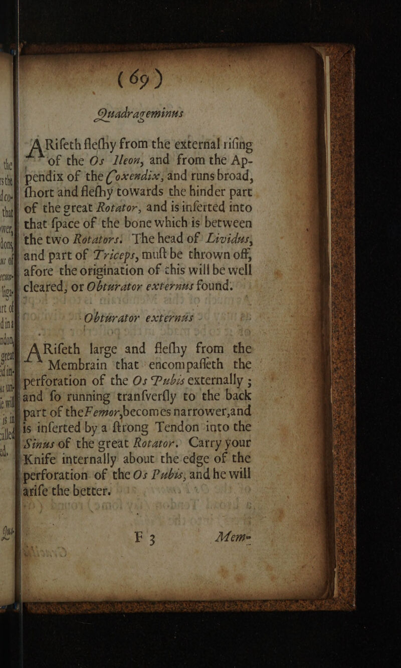 Ouadrareminns Po ae fi’ arin flefhy from the external rifing ell of the Os IJleon, and from the Ap- kh pendix of the (7 haediael and runs broad, leu {hort and flefhy towards the hinder part huf OF the great Rotator, and is inferted into wen) that {pace of ‘the bone which is between don the two Rotators: The head of Lividus, ; f and part of Triceps, mult be thrown off, ny afore the origination of this will be well gull cleared, or Obturator externus found. dh din H | fl none t Obturator externus gp ARE large and flefhy from the Membrain ‘that ‘encom pafleth the ane | perforation of the Os Pubes externally ; ‘and fo running tranfverfly to the back «it part of theFemor,becomes narrower,and ‘vf lis inferted by a ftrong Tendon ‘into the | 4. pSinas of the great Rotator. Carry your Knife internally about the edge of the | perforation of the Os Pubes; and he will varife the better. il