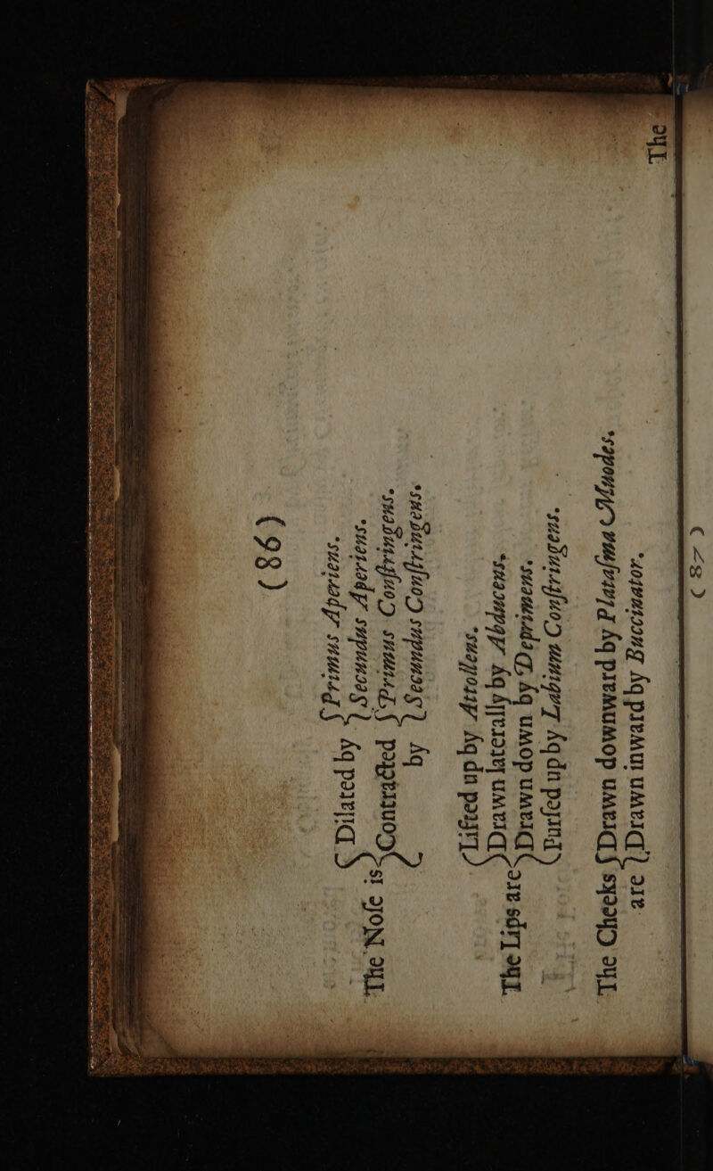 ‘soqvutooug Aq pIeMUl UMEIC,) 318: sapouyy viafvivyg Aq premUMOP UMEIC,§ SY224D IYI, 18 Sar] Og], ‘suadursyfuo0, unique Kq dn paying ‘suauttada gy, hq UMOp UMLIC, ‘suaoupap ka Ayers yey UMLICL ‘suayosp Aq du porsr] PaQENUODK ., SON SL ‘suaiad yy suuteg § Aq pore :