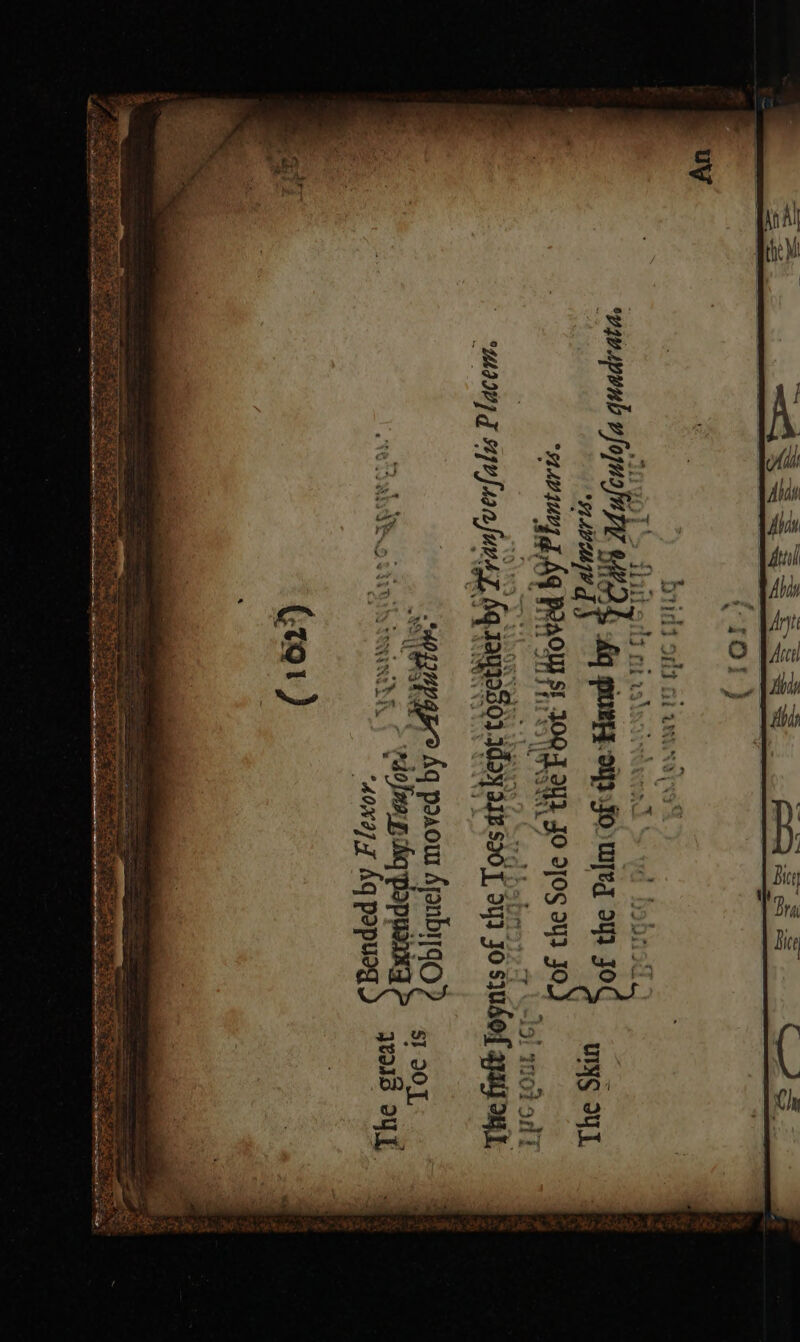 Sak fee UIYS IYI. 95: 18 107 oni «y= 7 edofmexp hq popyeaxg qeuss out “aoxapy kg pepued :