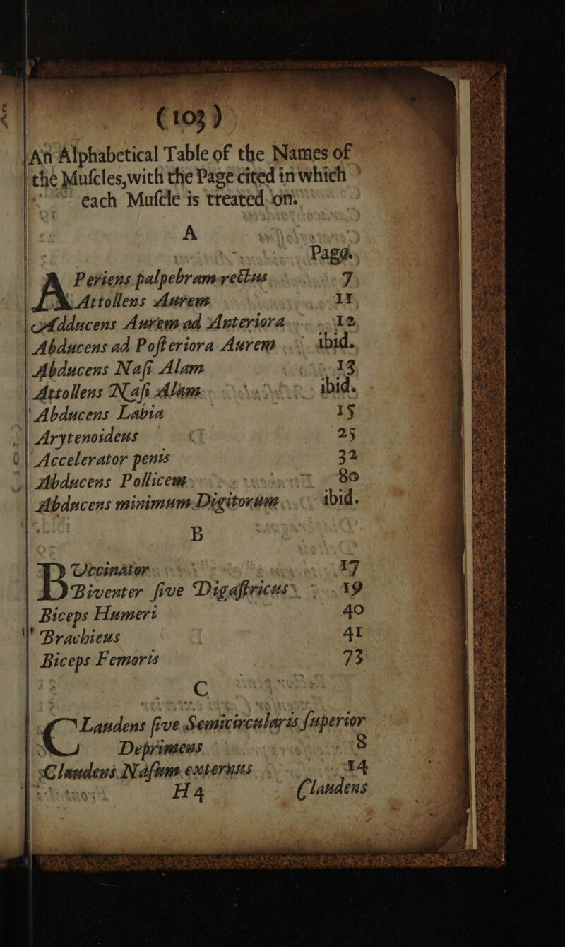LAR Alphabetical Table of the Names of the Mutcles,with the Page cited in which © = each MufCle is treated.on. A | Page. Peviens palpebramretius 7 Attolleus Aurem 1 Adducens Auremad Anterira.... ..12 | Abducens ad Pofteriora Aurem ibid. Abducens Nafi Alam | ActoHens Nafi Alam ibid. ' Abducens Labia | 19 Arytenoideus 25 )| Accelerator penis 32 | Abducens Pollicem FRR ax: = | Abdacens minimumDigitoram ibid. B B Oecindtor 17 Biventer five Digafivricuss ...19 Biceps Humert 40 ' Bravhieus 4I [Ges Femorts 73 a3 fe a Cas i ive ‘Semnicitculars fuperior Deprimews 8 je frog Neafums exteriaus key H4 (laudens