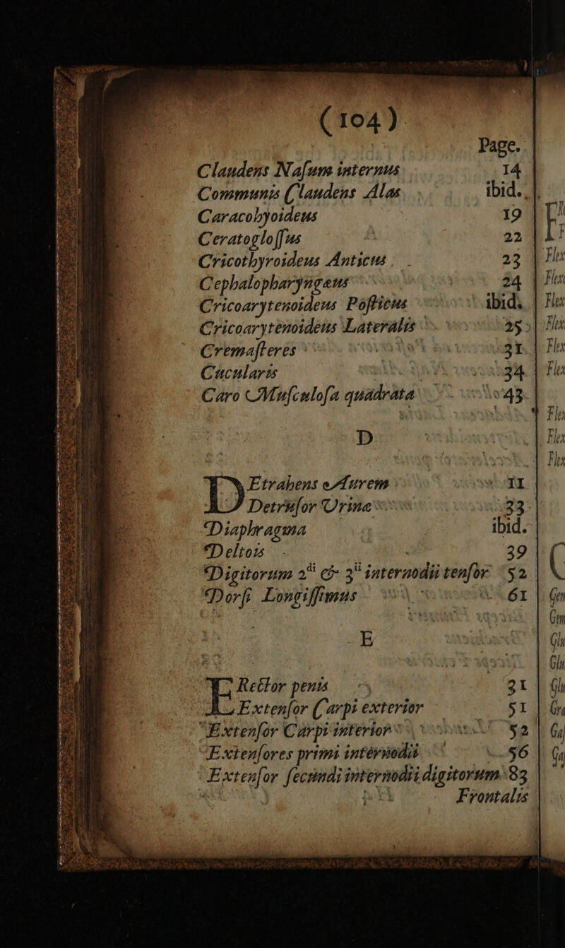 (104), Claudens Nafums internus Communis (laudens Alas Caracobyoideus Ceratoglo(fus Cricothyroideus Anticus Cephalopharyngaus Cricoarytenoideus Pofticus Cricoarytenoideus Lateratis Cremafteres : Cuculares Caro Mufculofa quadrata D Etrahens eAurem Detrufor Urine uy Diaphragma ibid. Deltow - : 39 Digitorum 2 &amp; 3 internodiitenfor 52 Dorfi Longiffimus 99 \ % NGL E