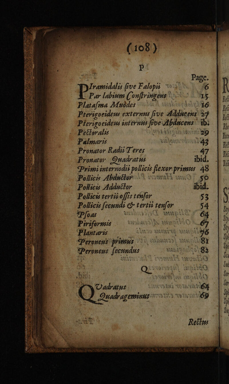 P I; besisddli five Falopi Par labium (1 onfiringens Plata{ma Mutdes-’ oleh Pterigocideus externus five Adducens 37 Pierigocideus internus fe ve wbdacens: ib; Pettoralis TURTON Atte Palmarts AV OW 143 - Pronator Radii Teres 47 Pronator Quadratus ibid. Primi internodis polici Lae’ primics 48 Pollicis Abdnttor oosoxs : Pollicis Adduétor Pollicts tertivoffis tenfor Pollicis fecunds Re tertit Lee ble *Pfoas 2 | Piriform Plantaris Peroneus primus ieronens fe aptsieeee . ee
